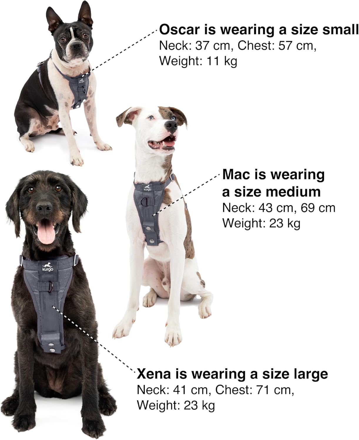Kurgo Enhanced Strength Tru-Fit Dog Car Harness - Pet Travel Safety Harness - Crash Test Certified Fit - Five Point Adjustment - Secure Buckle - Padded Chest - Charcoal - Small