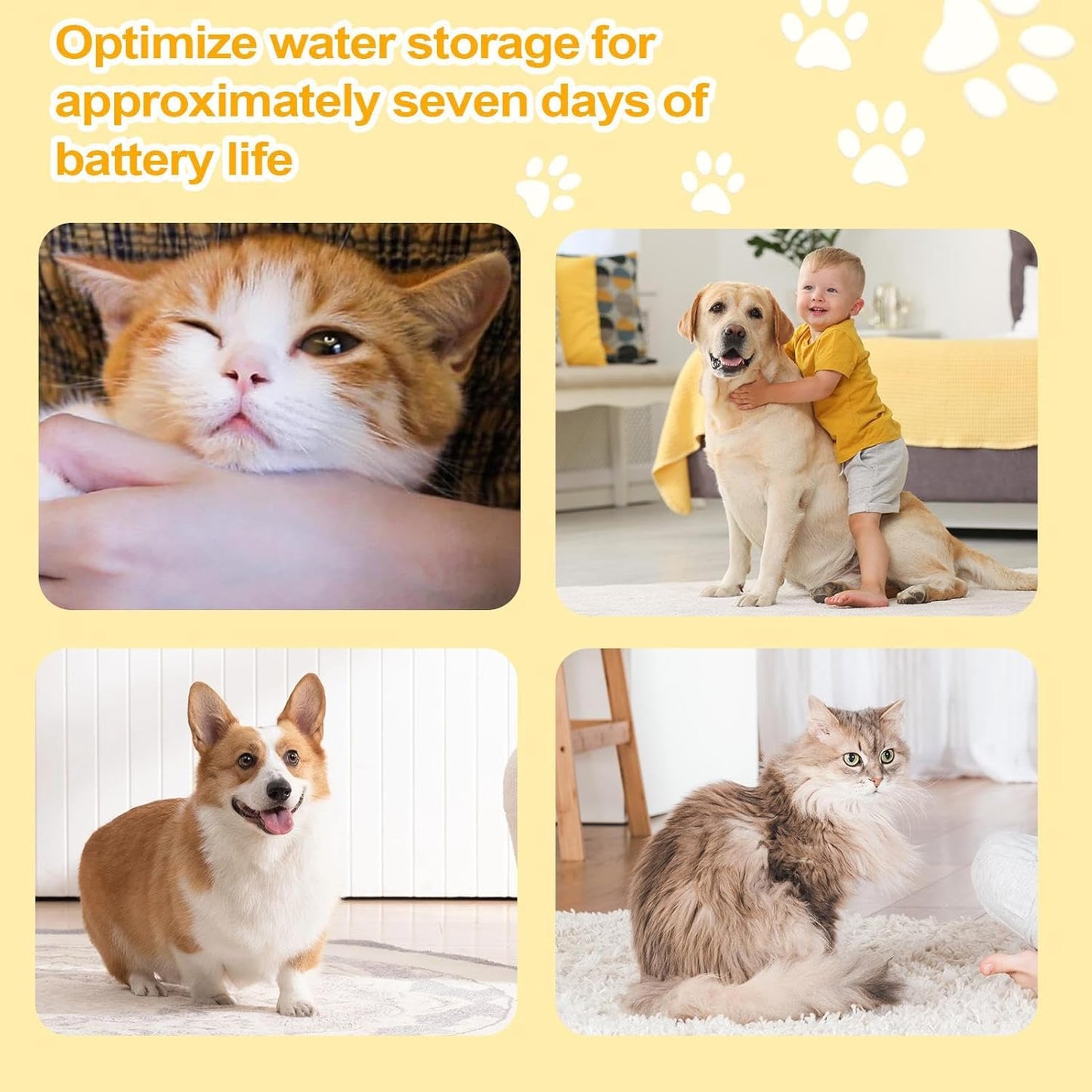Pet Water Fountain | Smart Quiet Filtered Cat Drinker | Kitten Automatic Waterer | for Pets Dogs Puppy Kitten Indoor Home Living Room Floor Corner