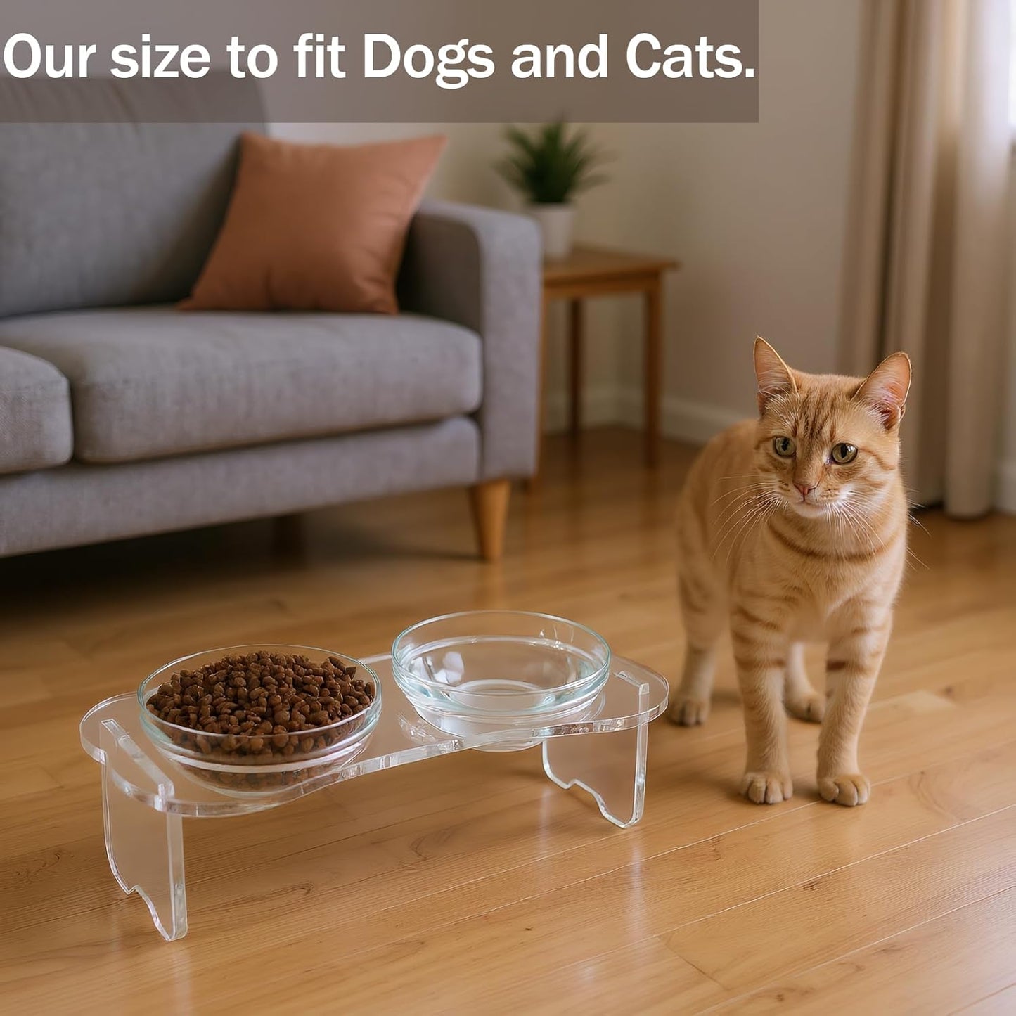 Geyecete Acrylic Dog Bowl Stand Dog and Cat Bowls Elevated Set with 2 Set Removable Glass Bowls Food and Water Raised Dishes Dog Bowl Elevated