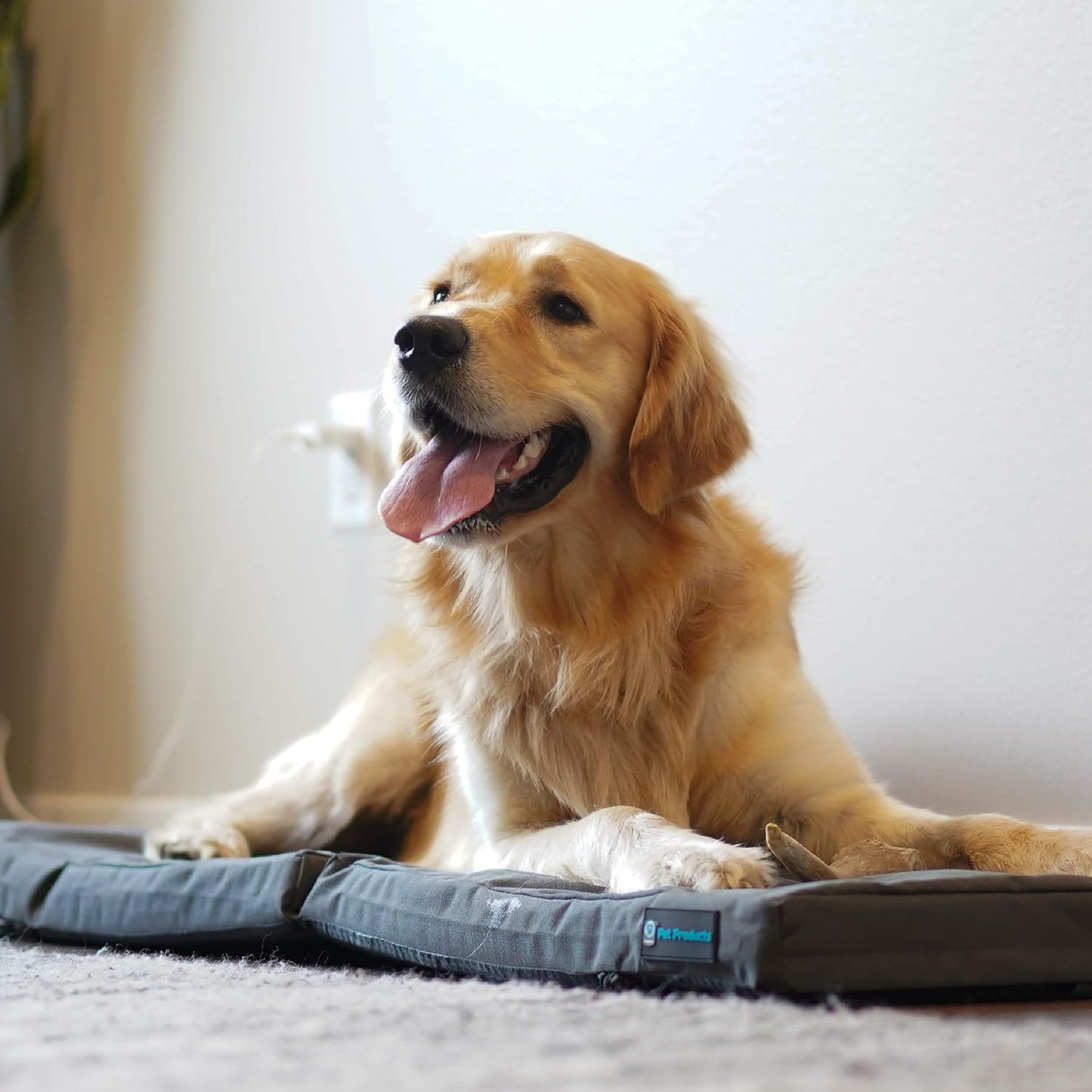 Blue-9 Pet Products Restore+ Double Dog Bed, Durable, Water Resistant, and Washable Design, 24” x 48”