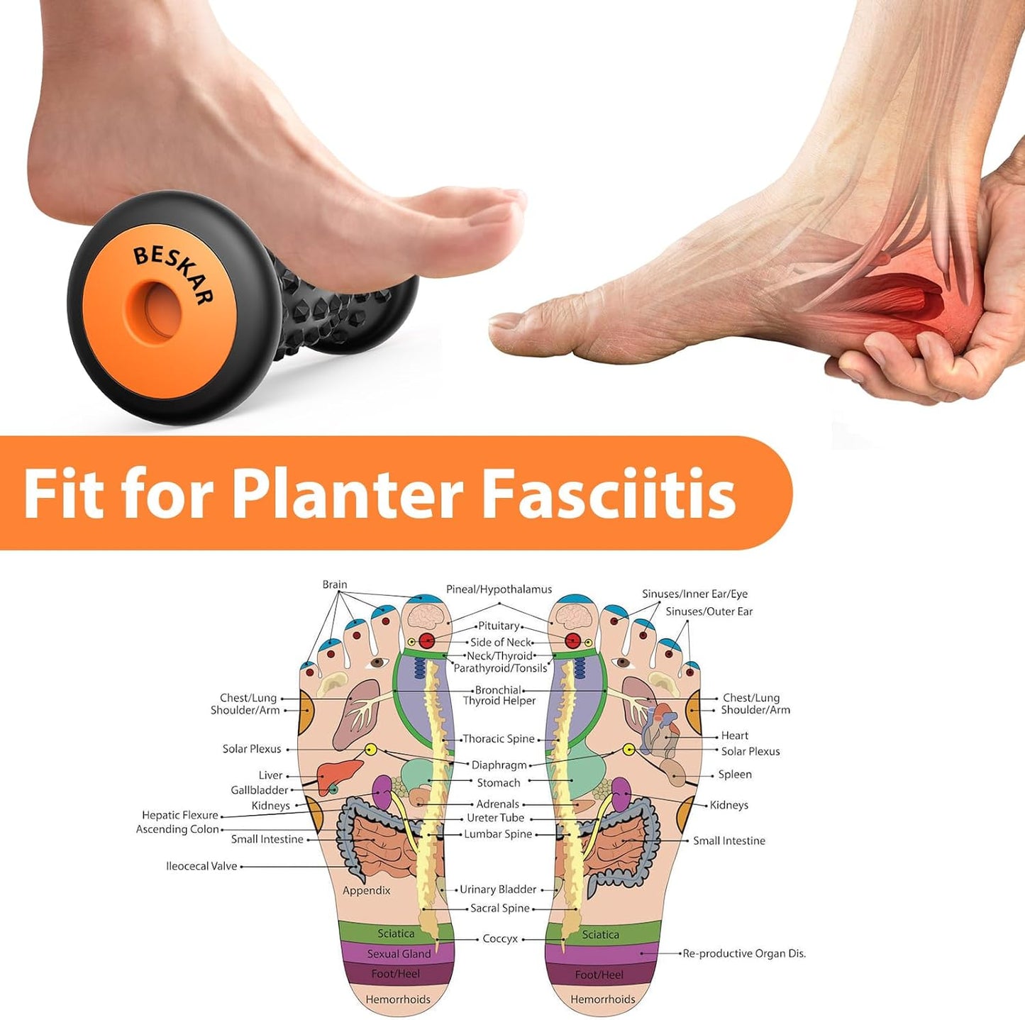 BESKAR Foot Massager Roller for Plantar Fasciitis Relief, Portable, Deep Tissue Muscle Massage, Foot Arch and Heel Pain, Reflexology Tool