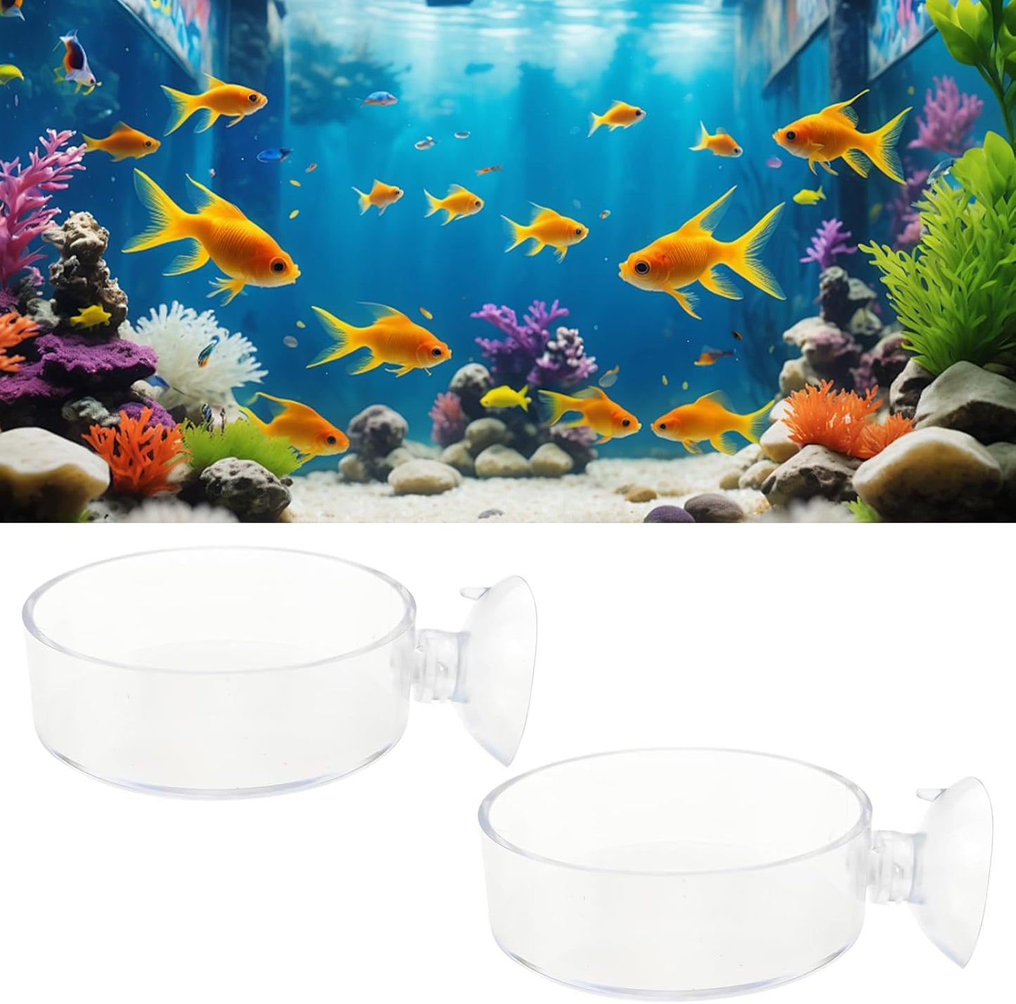 2 Pack 60mm Aquarium Shrimp Feeder Dish with Suction Round Clear Fish Tank Food Tray Container Feeder Bowl Prevent Food Spilling