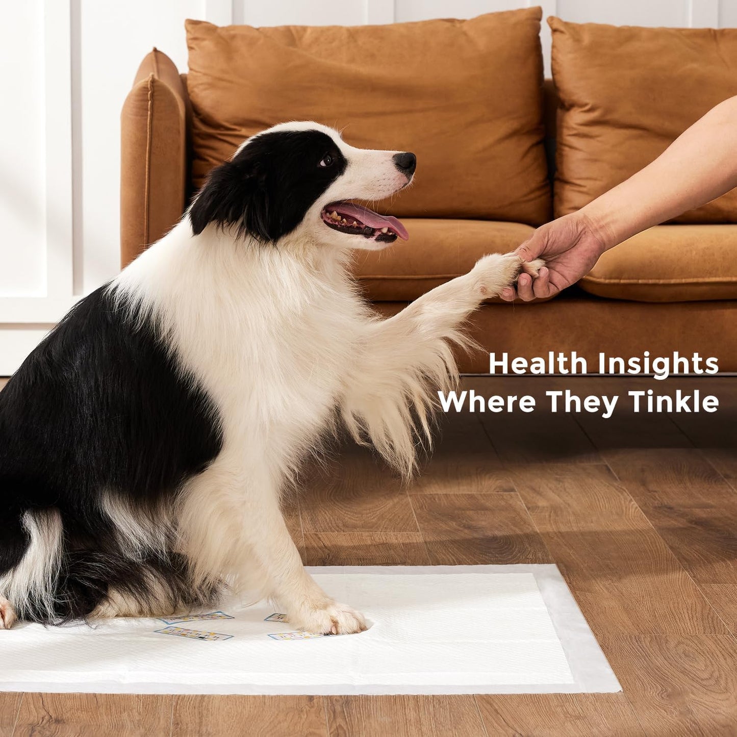 Health Monitoring Puppy Pee Pad with Color Indicators, 22"x22" 5 Counts - 6-Parameter Urine Test, Disposable Dog Potty Training Pads , Odor-Control, Super Absorbent & Leak-Proof