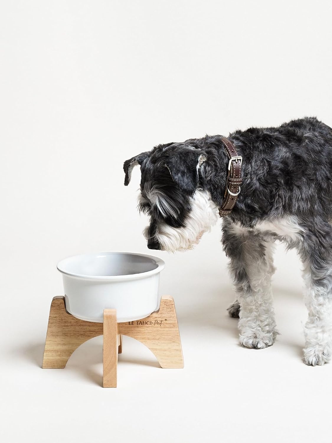 Raised Ceramic Dog Bowl with Wooden Stand, 6.5 Inch Elevated Feeder for Small & Medium Breeds, White, Set of 1
