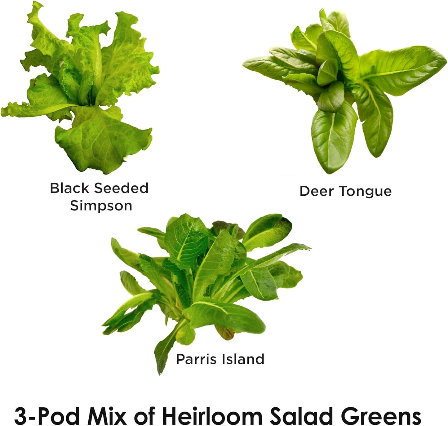 AeroGarden Heirloom Salad Greens Mix Seed pod Kit - Salad Kit for AeroGarden Indoor Garden, 3-Pod