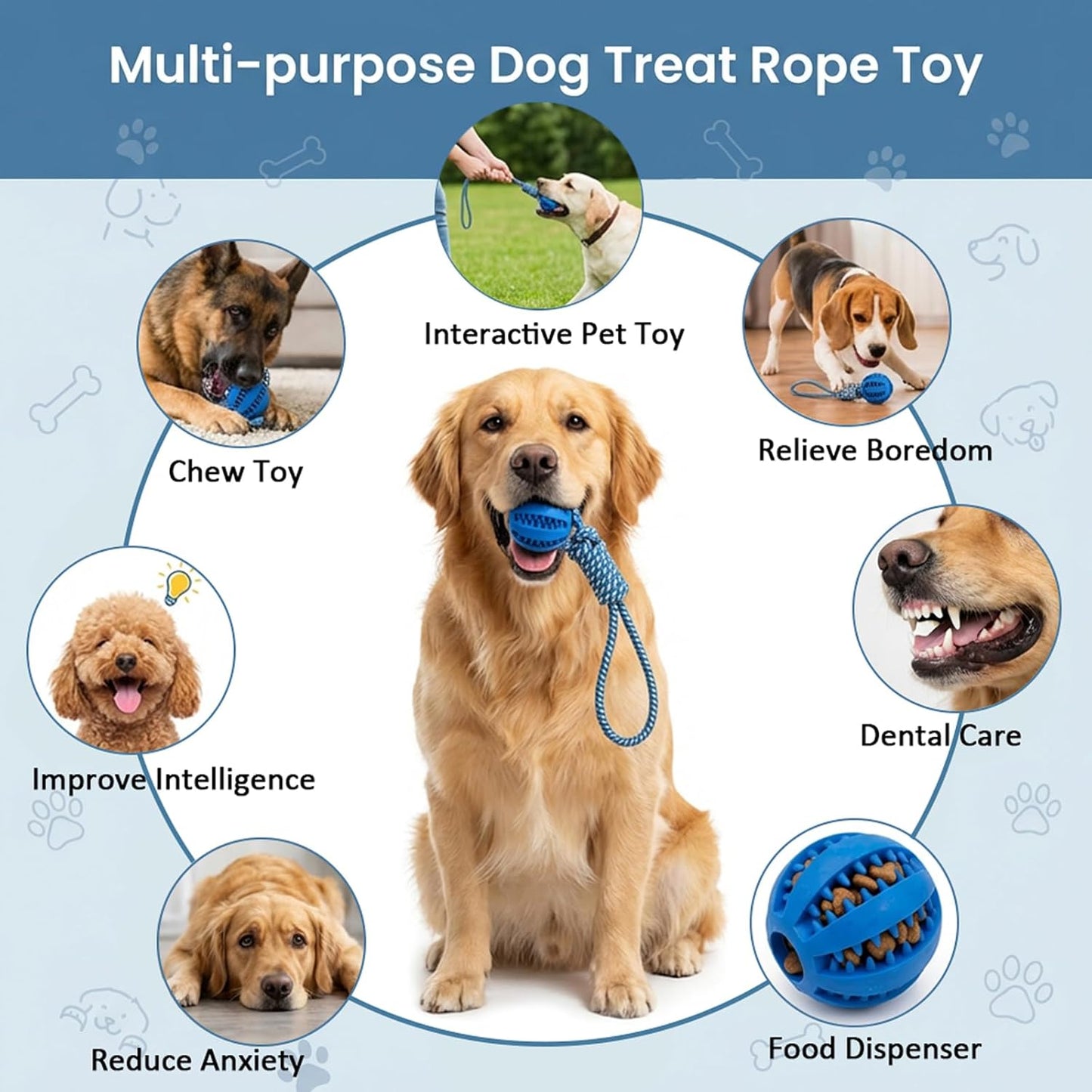 4PCS Slow Feeder Dog Bowl Set with Mat & Feeding Ball, Slow Feeding Dog Bowl to Slow Eating, Puppy Slow Feeder Bowl for Small Dogs, Dog Bowls with Slow Feeder, Easy Clean