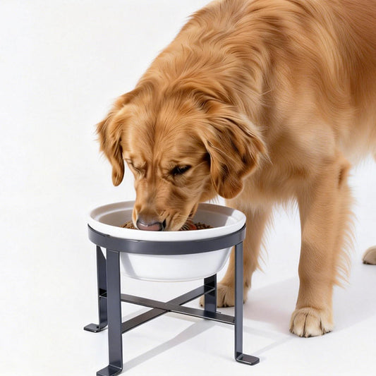 BestVida® Elevated Dog Bowls,Pet Stand, Raised Dog Bowls, Single Bowl Stand