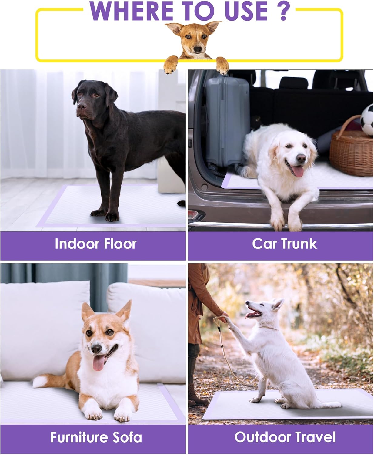 JollyMate 28"x34" Extra Large Dog Pee Pads 50 Counts, Leak-Proof Heavy Absorbent Pee Pads for Dogs, Quick Dry Disposable Puppy Pee Pads Slight Fresh Scented
