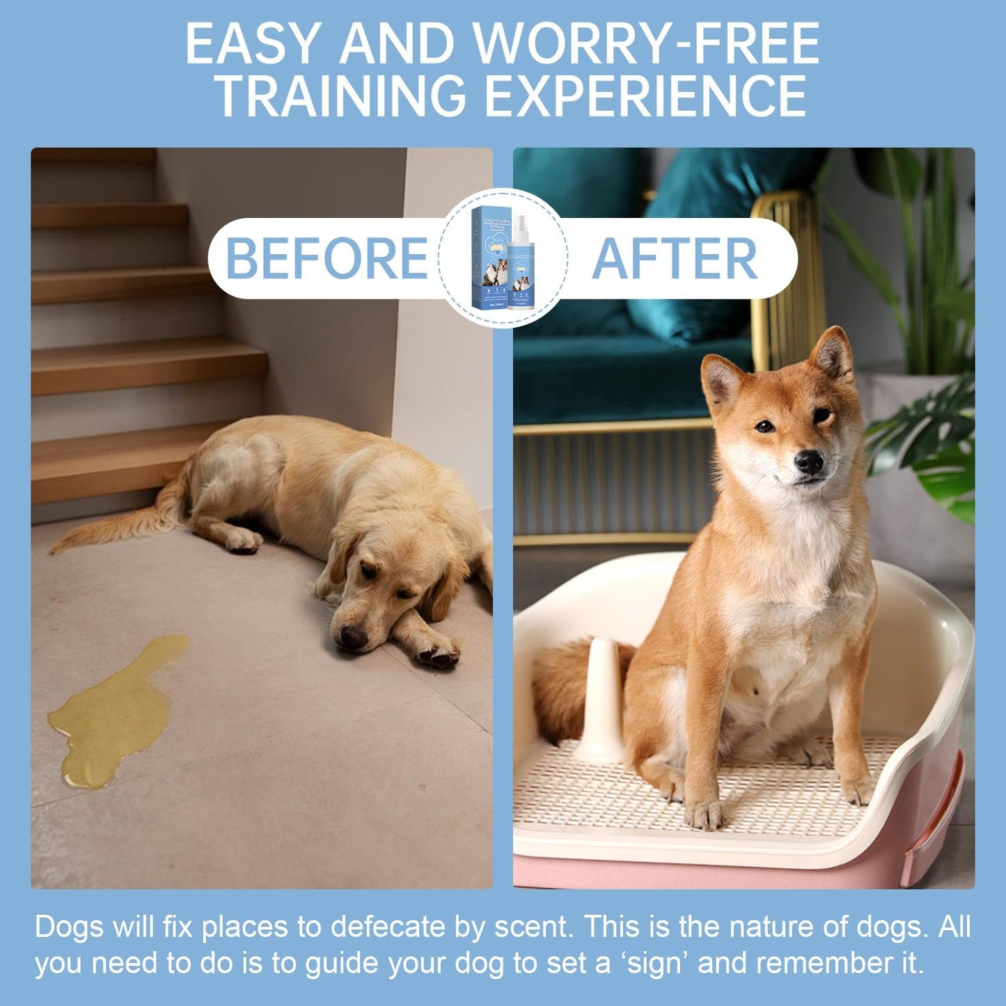 Potty Training Spray for Dogs Dog Potty Training Spray Go Here Dog Potty Training Spray Address Canine Inappropriate Elimination Habits for Indoor & Outdoor Environments (Blue)