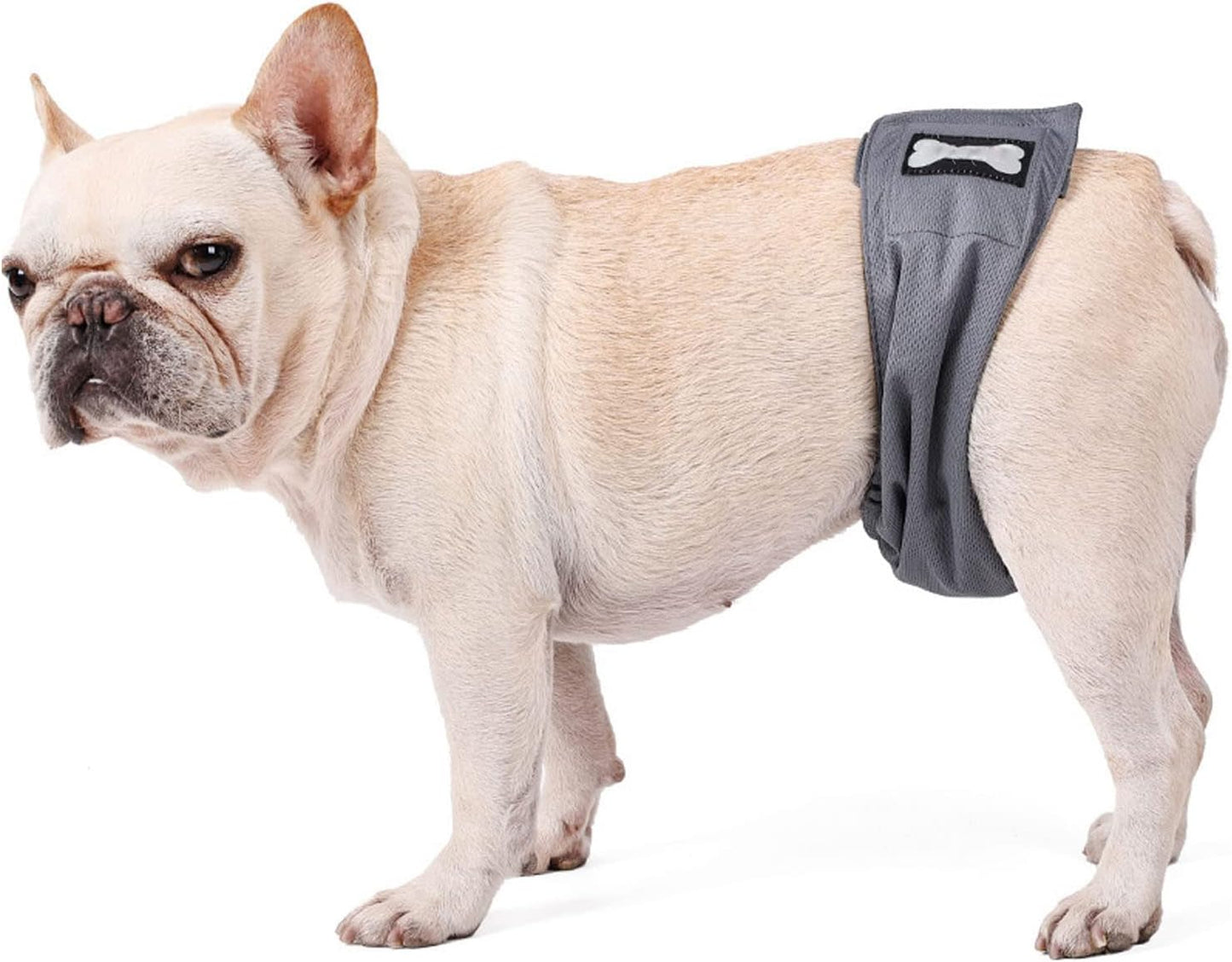 Male Dog Belly Wrap Leakproof Strong Water Absorption Breathable Comfortable Male Dog Belly Band for Small Dogs Puppies Untrained Male Dogs Spot Markers Incontinence (M)