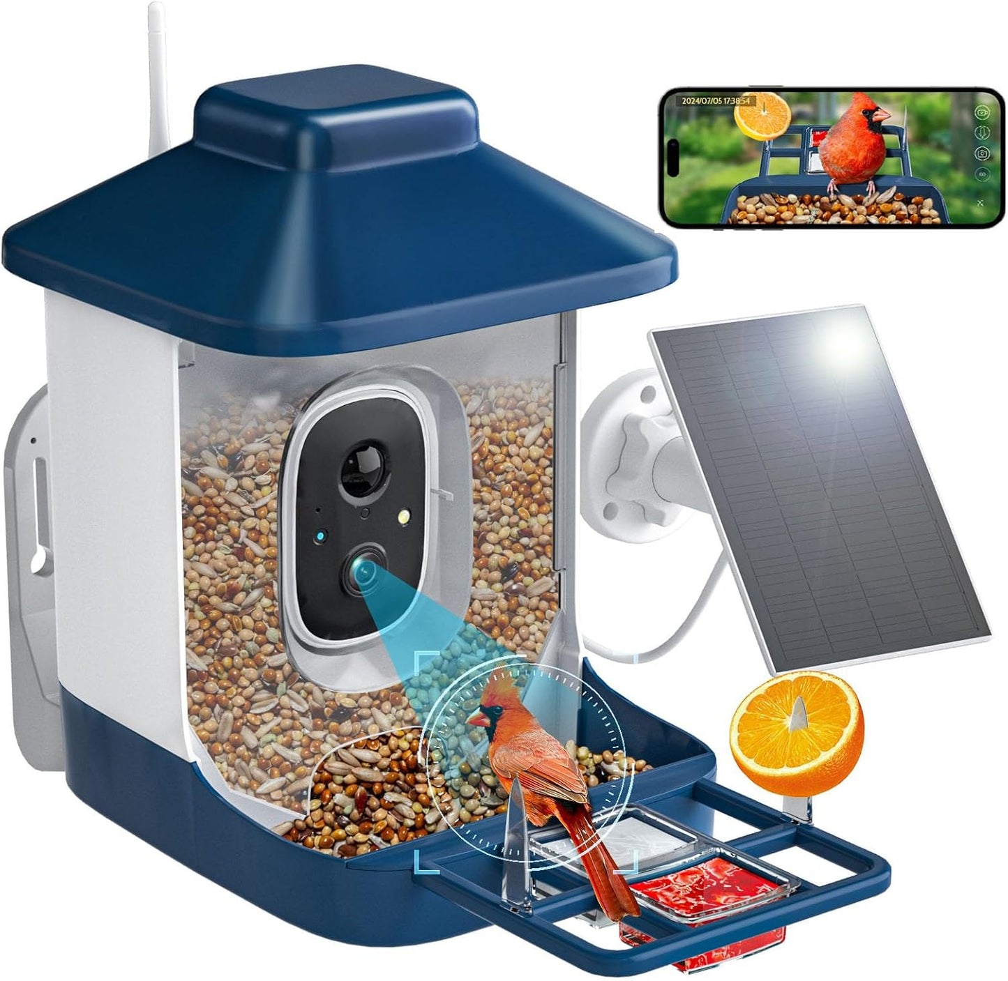 Bird Feeder with Camera, AI Bird Identification, Full HD Live Video, Solar Powered, 2.4Ghz WiFi, Instant Arrival Alerts - Best Gifts for Bi rd Lover
