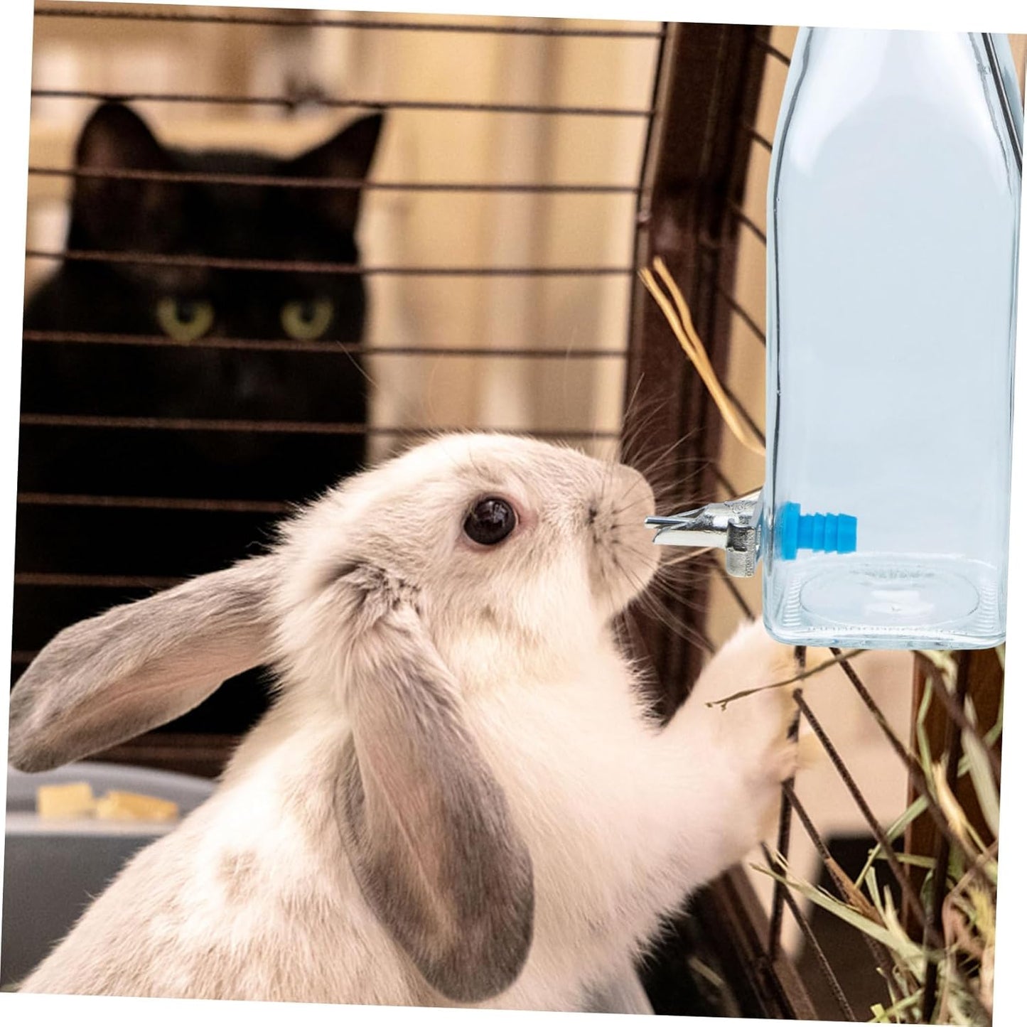 Milisten 350ml PET Rabbit Water Bottle Dispenser – Silent Hanging Glass Water Feeder for Small Animals – for Bunnies Guinea Pigs and Other Pets