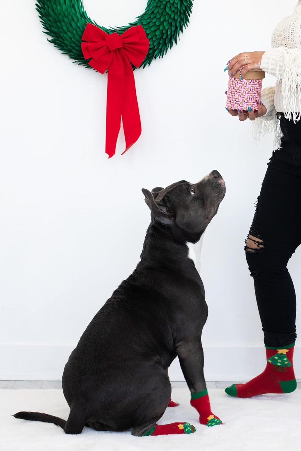 Pearhead Novelty Socks, Dog Sock Set, Matching Owner and Pet Apparel, Crew Length, Fun Holiday Novelty Gifts, Cotton