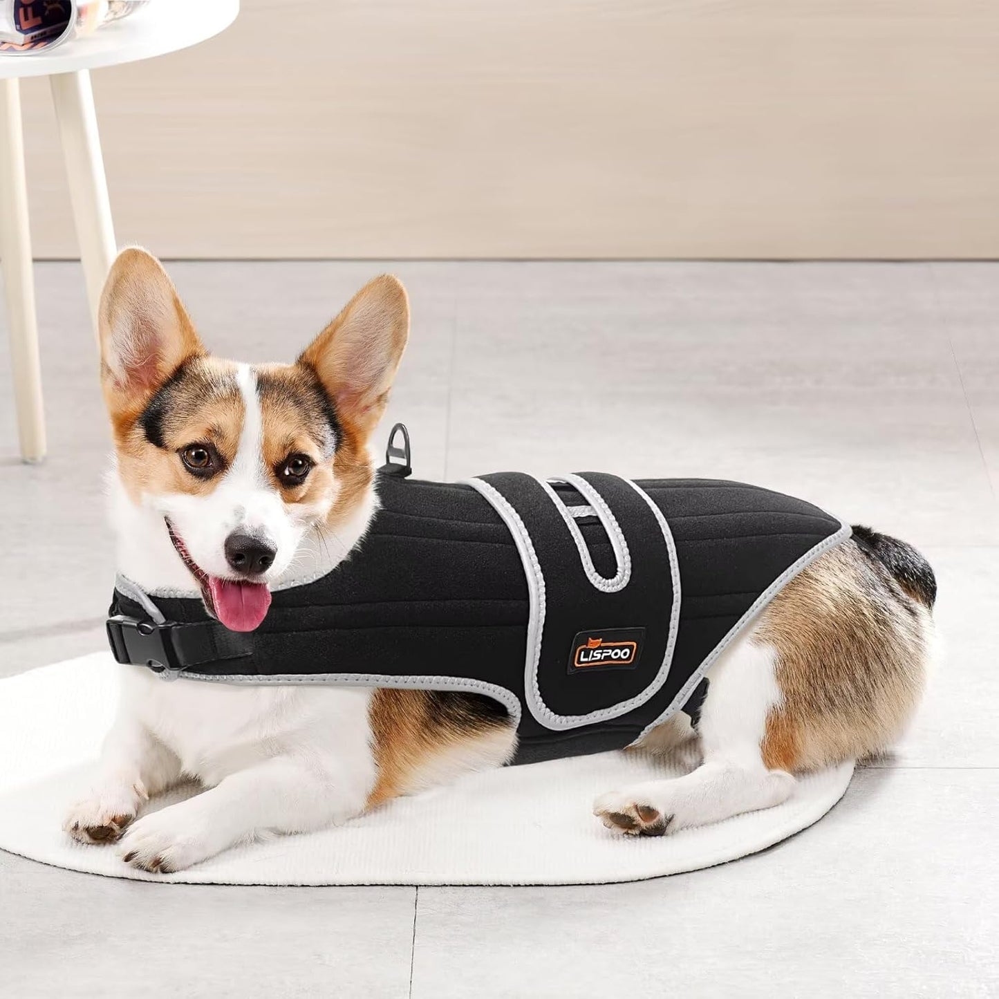 IVDD Dog Back Brace for Dachshunds & Slipped Disc | Post-Surgery Support & Arthritis Relief | Vet-Recommended Dog Back Brace | Breathable with Support Rods & Straps, Size XS
