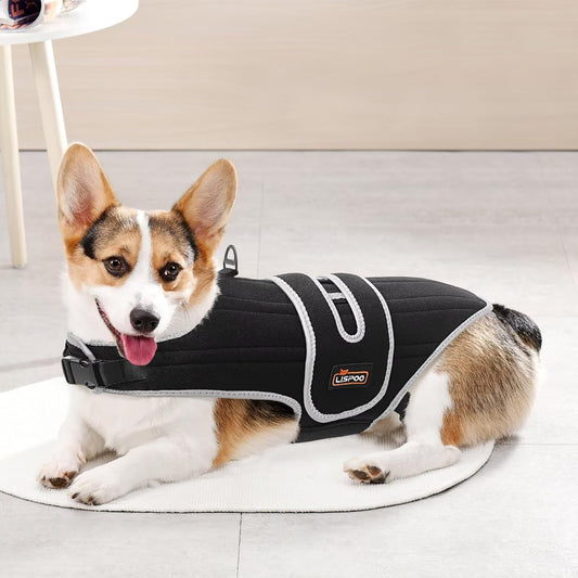 IVDD Dog Back Brace for Dachshunds & Slipped Disc | Post-Surgery Support & Arthritis Relief | Vet-Recommended Dog Back Brace | Breathable with Support Rods & Straps, Size XS