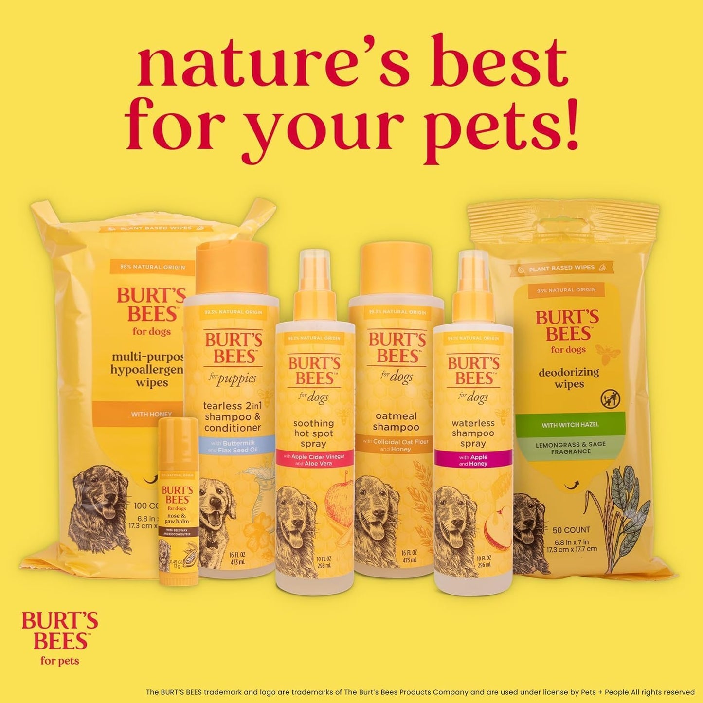 BURT'S BEES FOR PETS Dog Eye Wash with Saline Solution, Gentle Eye Cleaner for Dogs and Puppies, Tear Stain and Debris Rinse for Sensitive Eyes, Natural Origin Formula, 4 Fl Oz