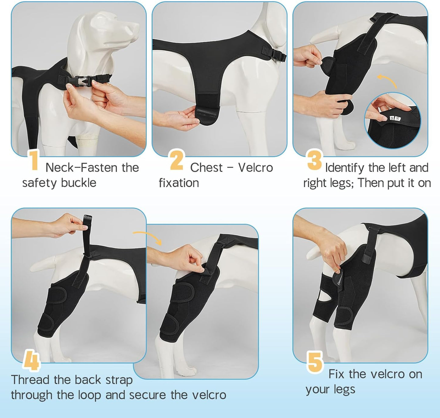 Dog Knee Braces for Back Leg, Adjustable Leg Brace with 2 Stabilizers, Hip Support to Reduces Pain, Ligament Injuries, ACL CCL & Luxating Patella for Small Medium Large Dogs, XL-L
