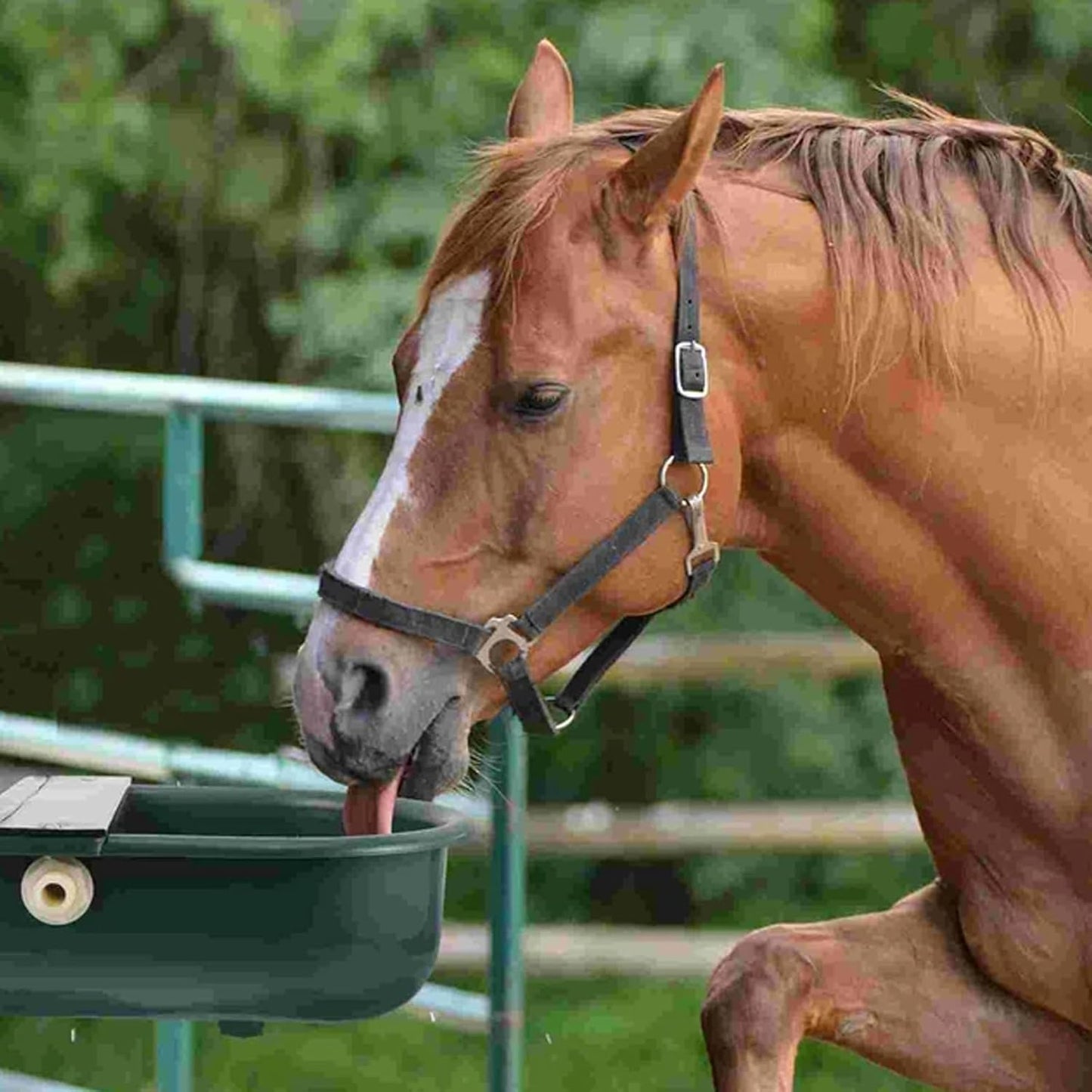 Automatic Water Bowl, Livestock Waterer for Cattle Dog Horse Goat Sheep, Outdoor Animal Drinking Water Trough Bowl with Float Valve (39.37 Inch Pipe)