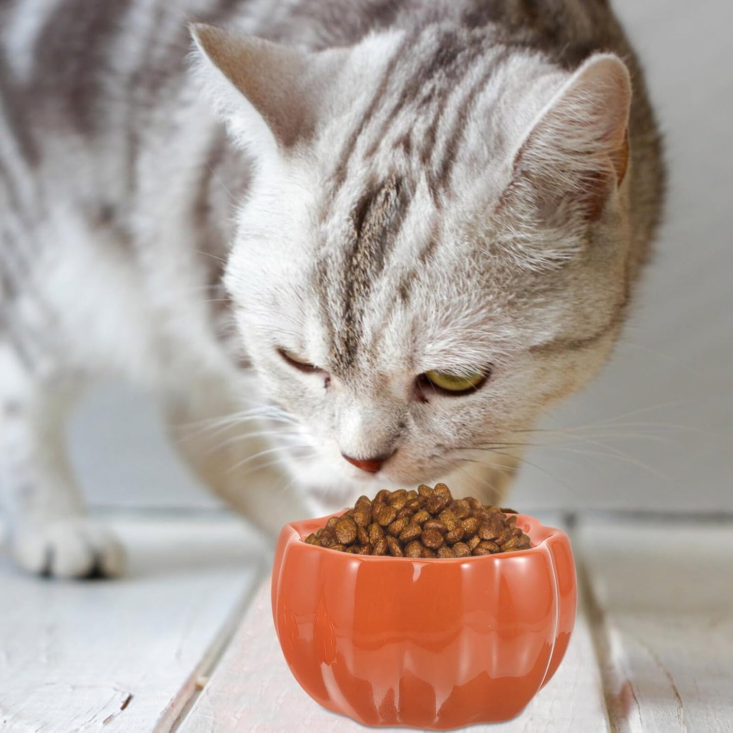 FAVOMOTO Ceramic Cat Bowl and Dog Food Bowl Raised Pet Feeding Dish with Neck Protection Pumpkin Orange for Cats and Puppies