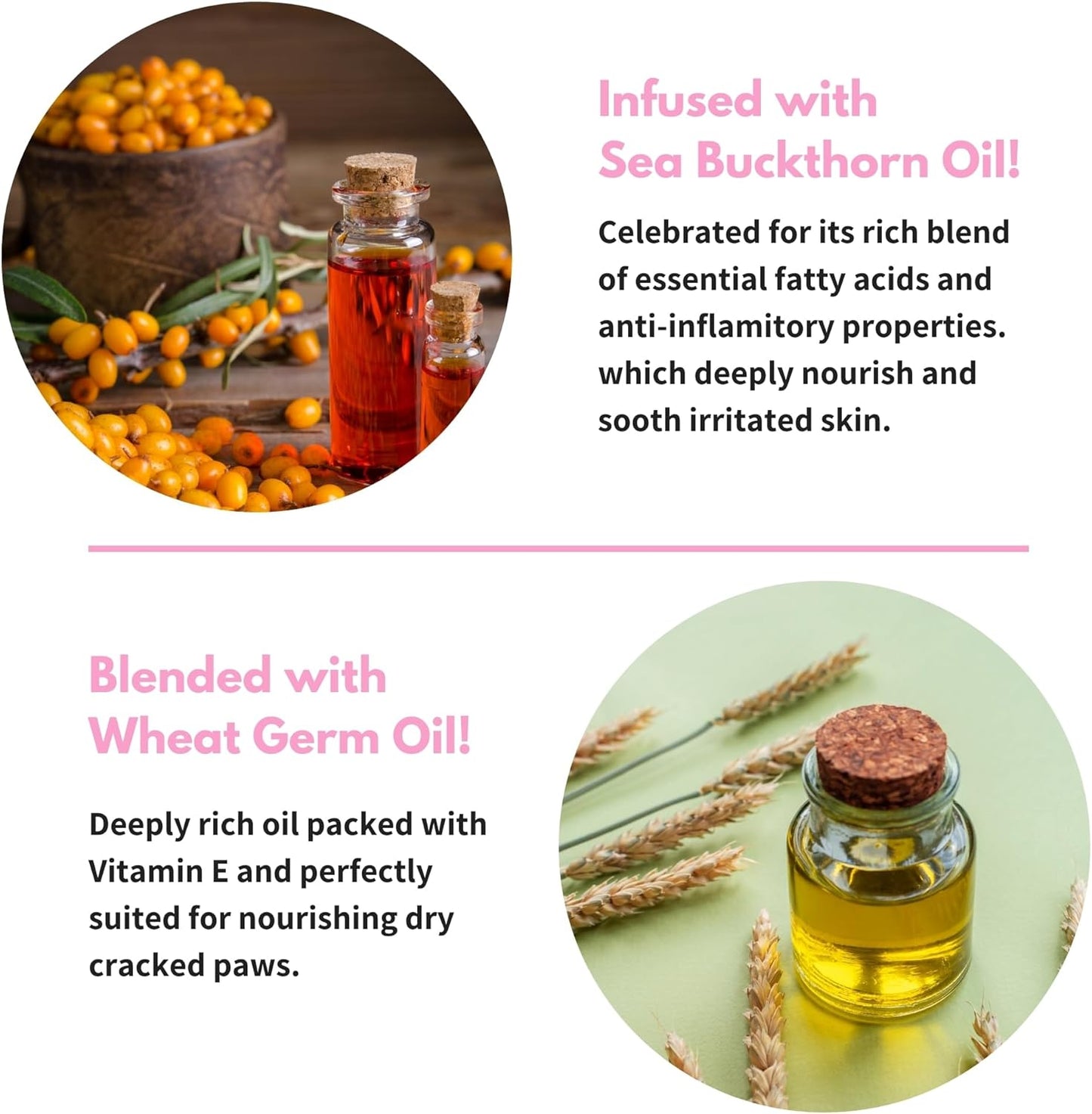 Toe Bean Oil: Premium Paw & Nail Cleansing Treatment, 100% Natural, Safe for All Cats and Dogs, 2 Fl. Oz.