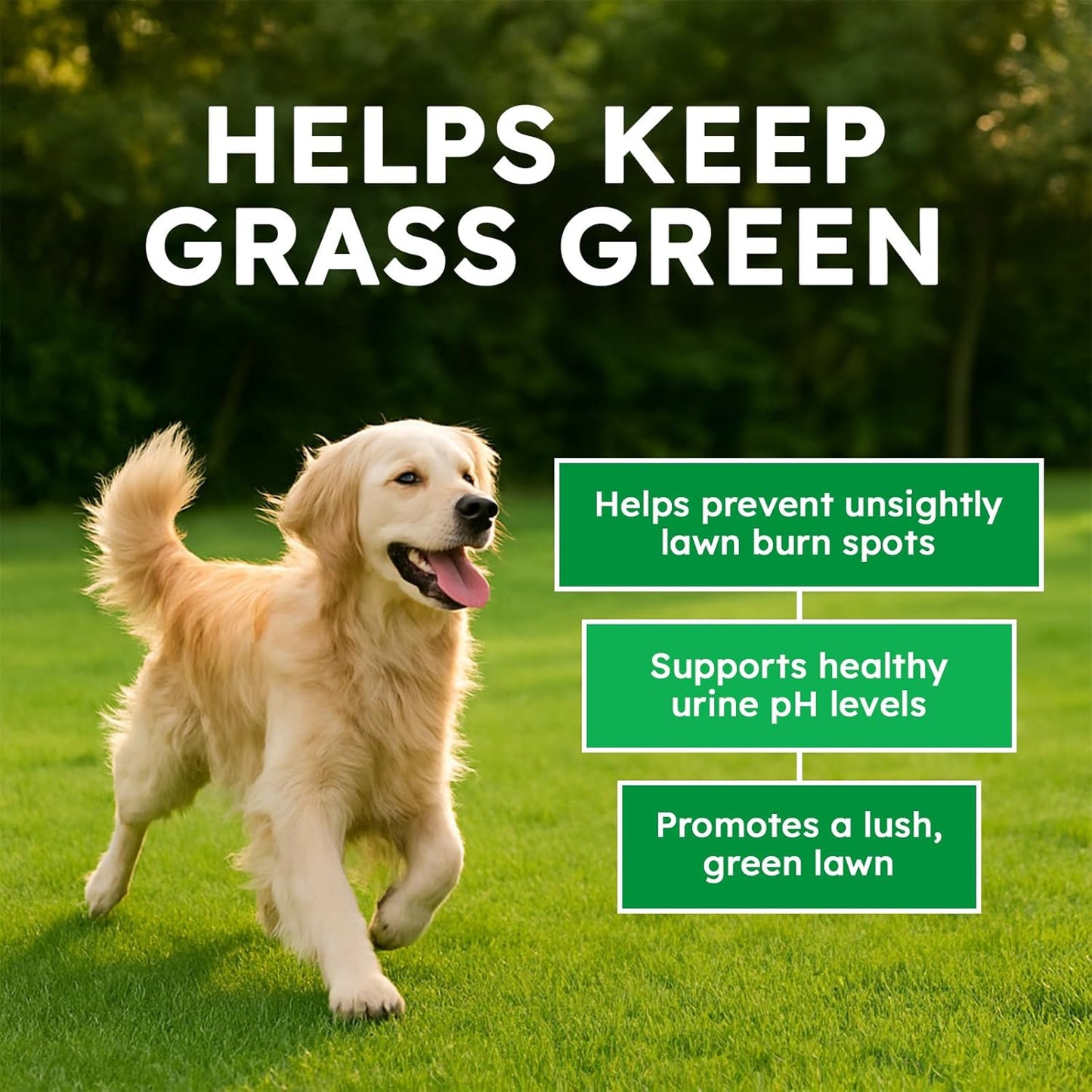 Dog Urine Neutralizer for Lawn - 150 Chews - Advanced Green Grass Dog Chews - Canine Pee Grass Saver - Green Lawn Treats with Natural Ingredients & Digestive Enzymes - Beef