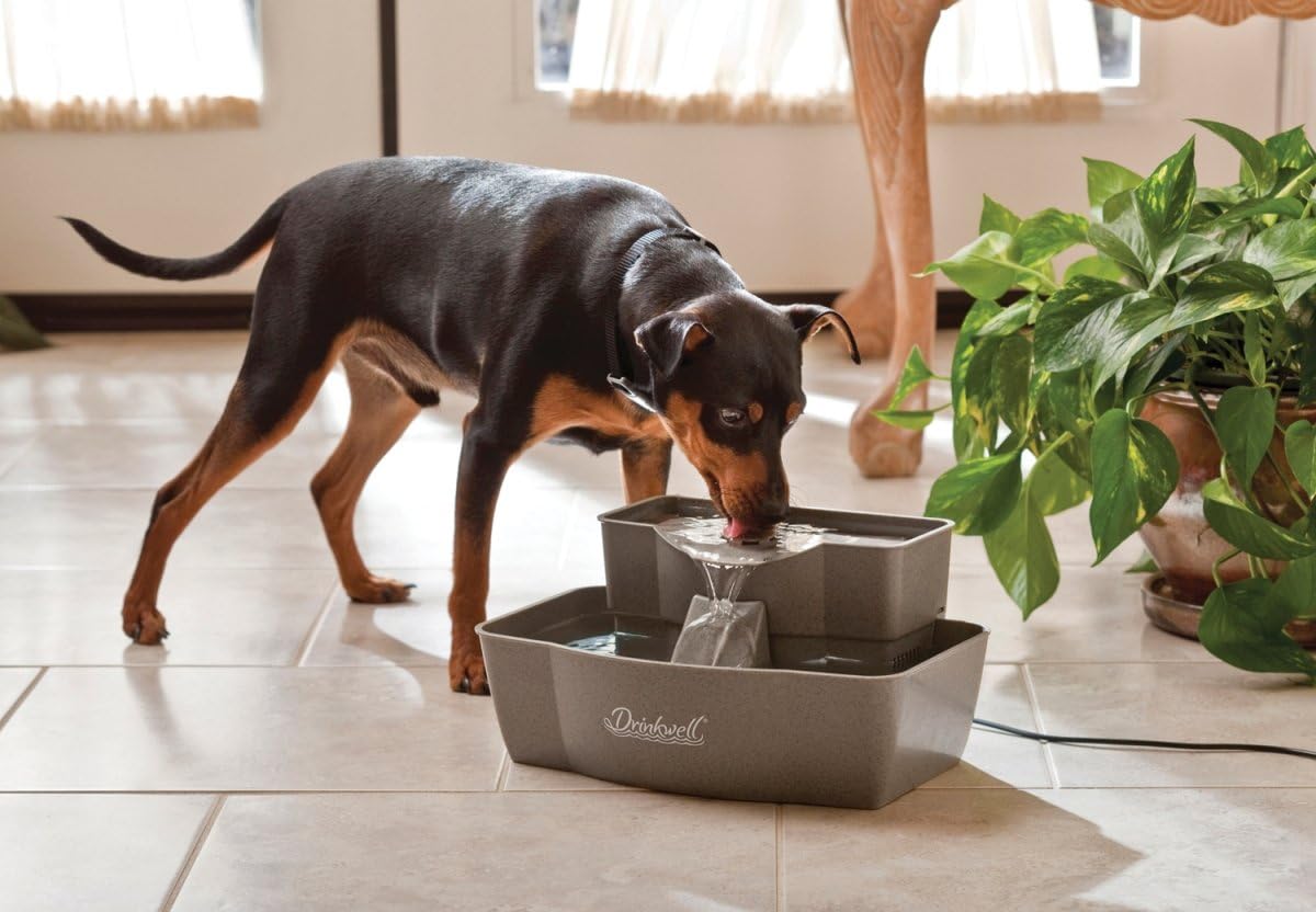 PetSafe Drinkwell Multi-Tier Pet Fountain - Encourages Hydration for Cats & Dogs - Large-Capacity Waterer - Double Tier - Filtered Fountain with Carbon Filter - 100 oz Water Capacity