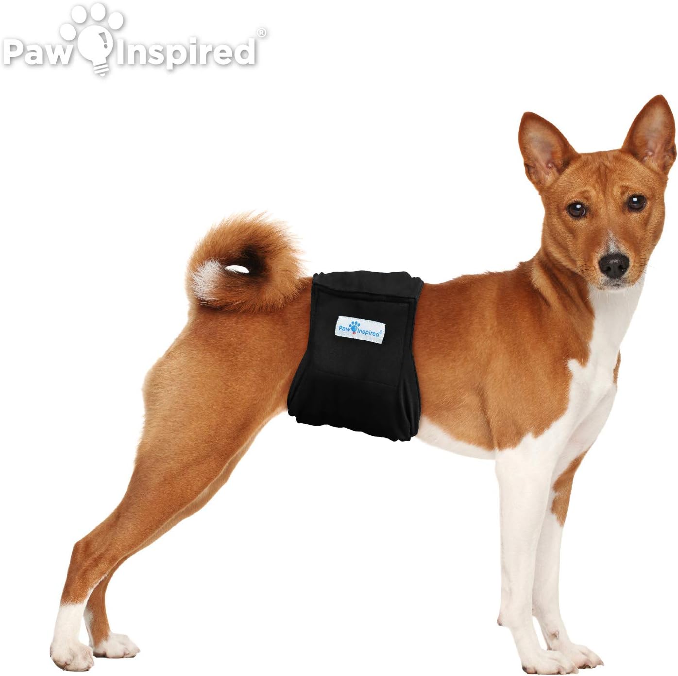 Paw Inspired 3-Count Reusable Male Dog Wraps, Washable Diapers for Male Dogs, Belly Bands for Incontinence, Surgery, Male Marking (Medium Size, Black Color with Black Lining, Pack of 3)