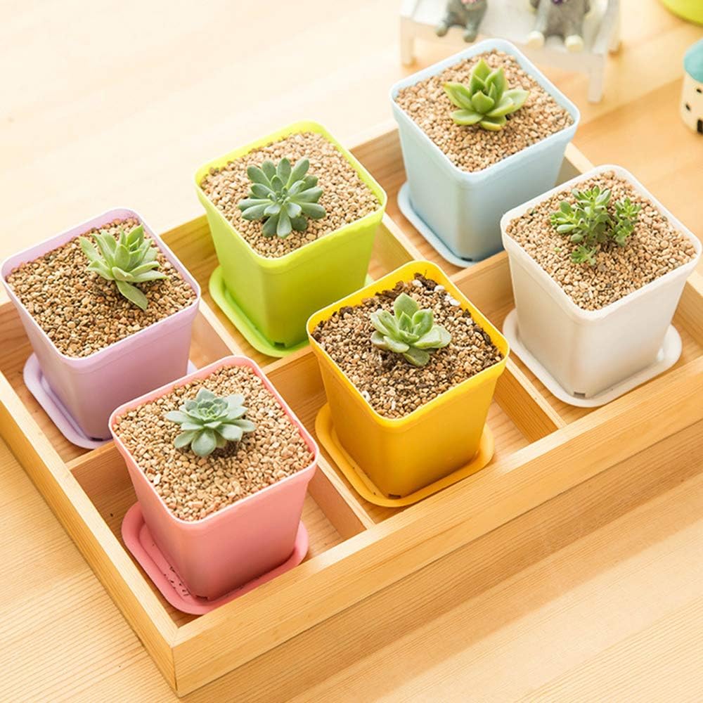 24 Pack 3inch Multi Color Square Plastic Plant Pots,Seedling Nursery Transplanting Planter Container Indoor Outdoor for Your Room,Garden Office and Balcony Decor