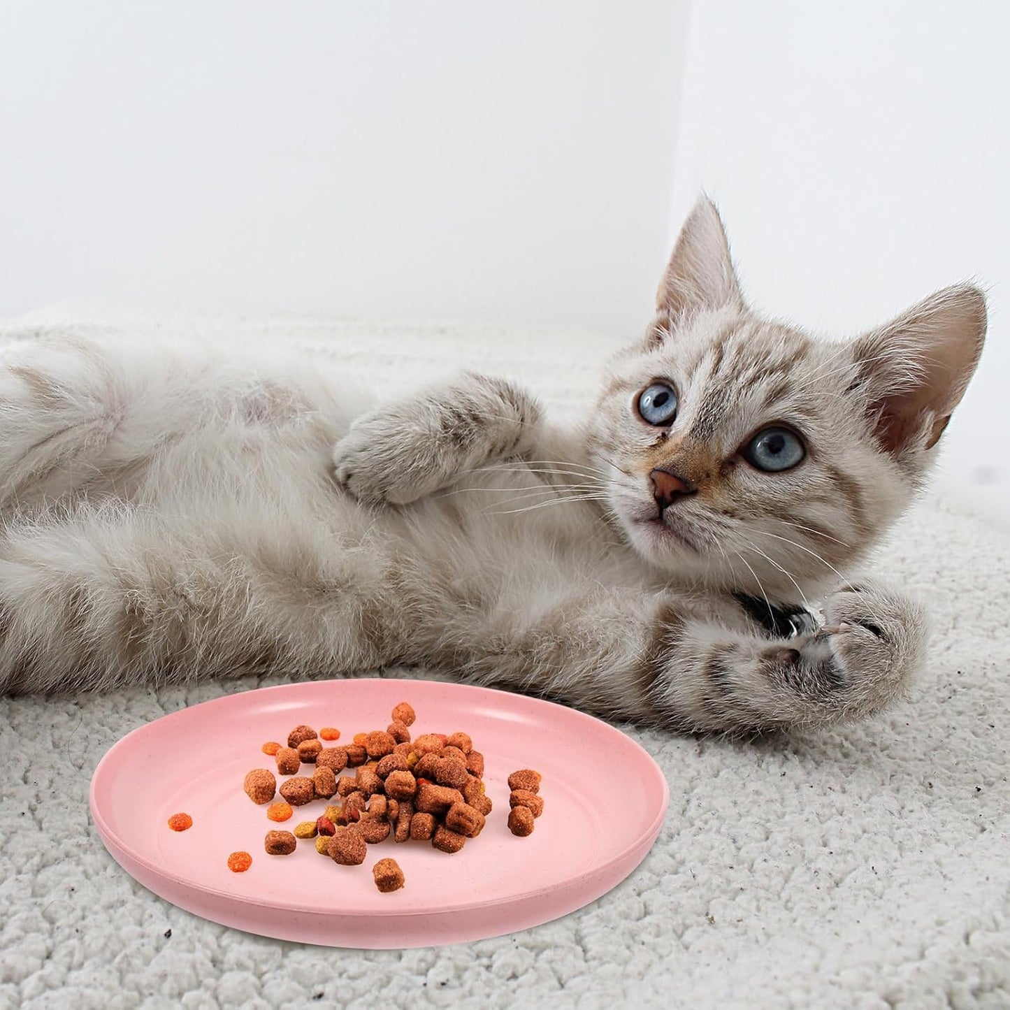 Milisten 6pcs Kitten Food Bowls Shallow Wide Cat Feeding Dishes Whisker-Friendly Plastic Bowls for Small and Short-Legged Cats Indoor Wet and Dry Food Plates