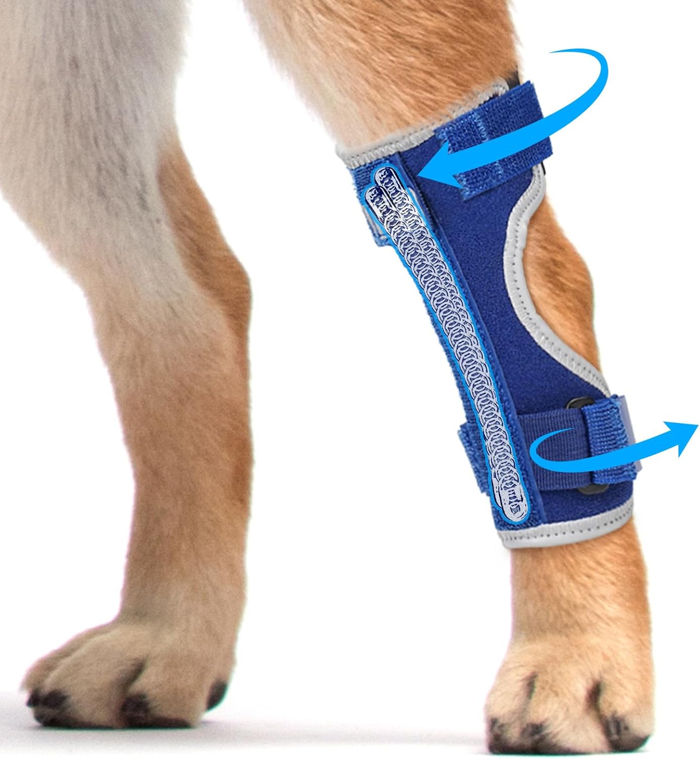 Supet Dog Leg Brace for Back Leg - Hock & Ankle Joint Support for Rear Legs with 2 Metal Springs, Anti-Slip Design & Reflective Trim for Sprain, Arthritis, Injury & Wound Recovery (Blue, L)