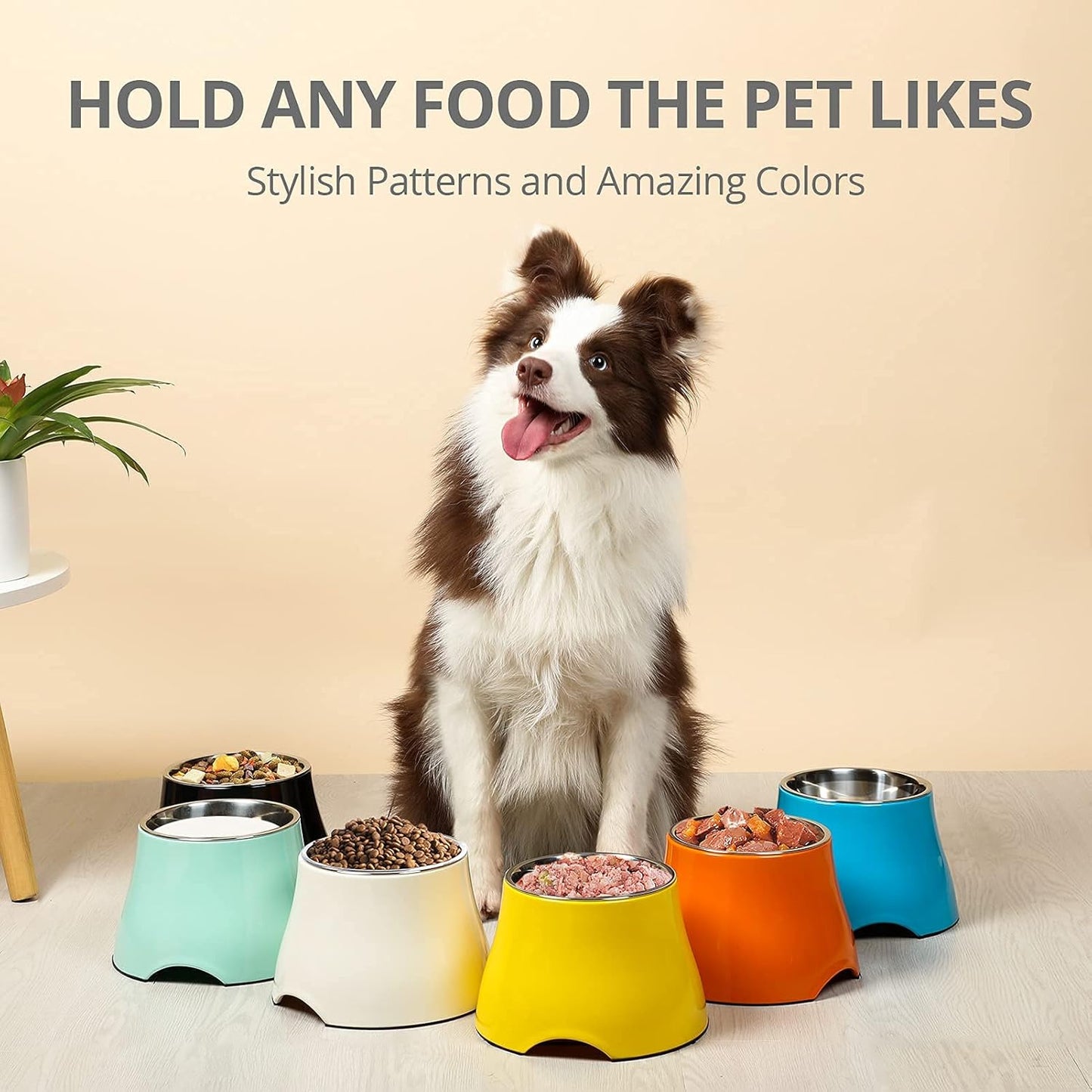 yoken Sturdy Elevated Dog Bowls 2 Packs, [Prevention of Vertebrae Disease] [2X Non-Slip] Dog Food Bowls,Stainless Steel, High Capacity Water Bowl Colorful Raised Bowl for Medium Small Dogs