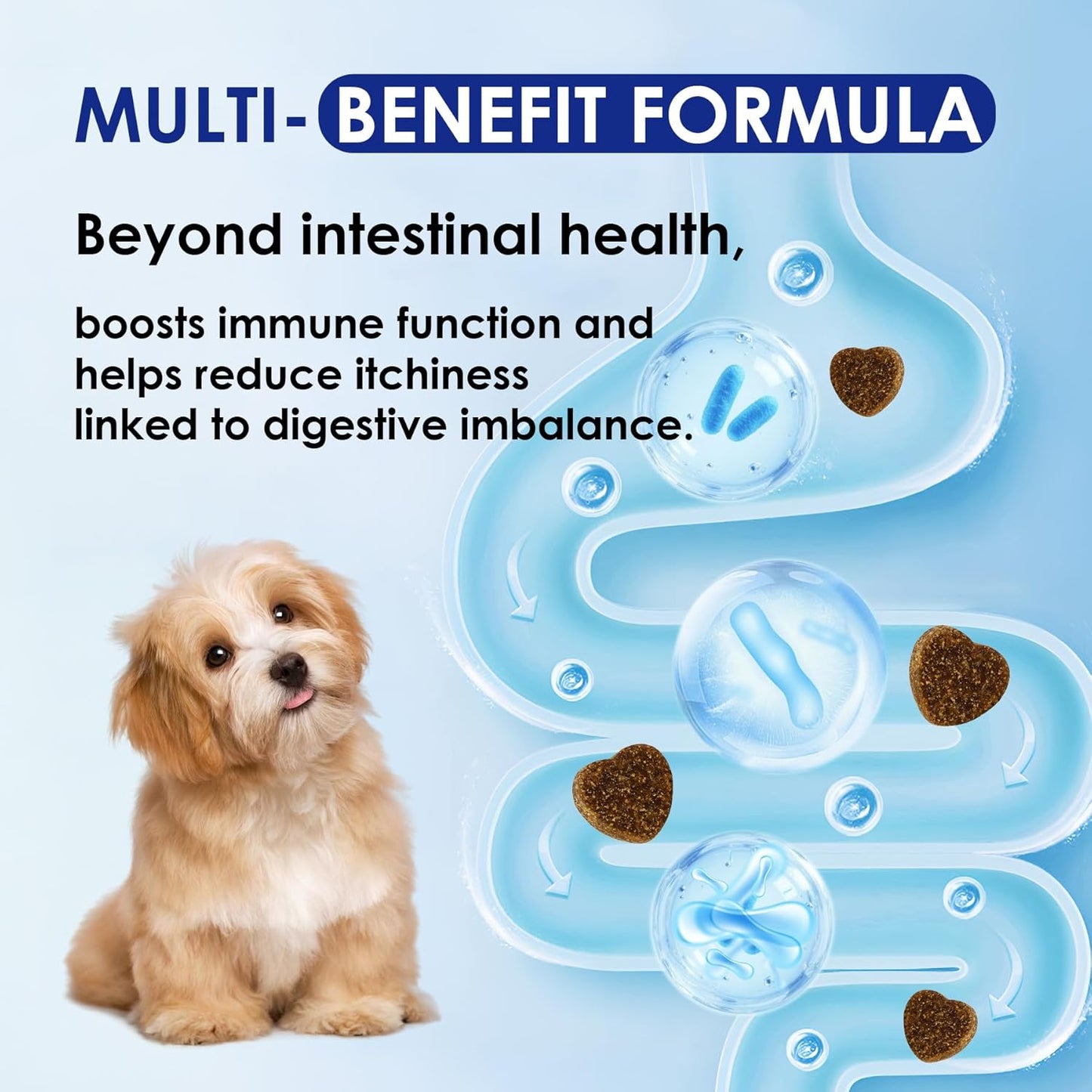 Probiotics for Dogs with Digestive Enzymes & Prebiotics - Diarrhoea Relief, Gut Health Support, Immune & Anti-Itch Function, Chicken Flavor, 120 Chews