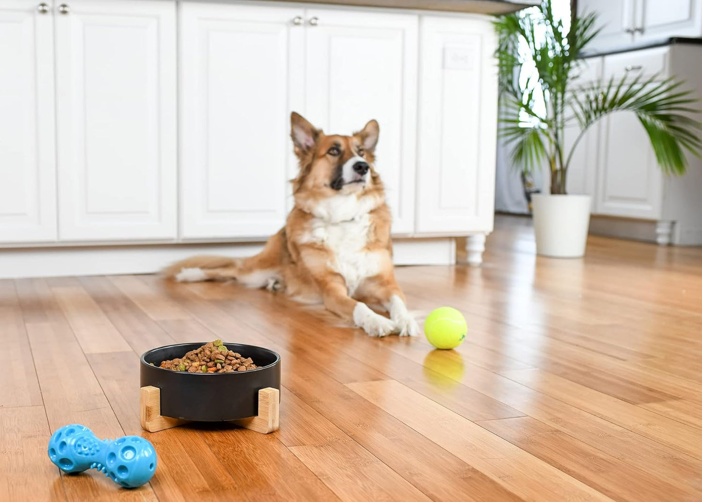 NAT & Jules Large Black 8 inch Stoneware Ceramic and Wood Pet Bowl with Stand