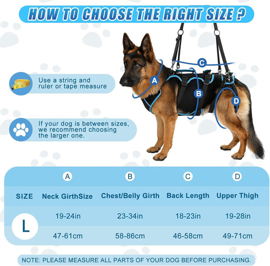 Dog Lift Harness for Large Dogs, 2-in-1 Detachable Full Body Support Acl Dog Sling Carrier with 4 Handles, Hind Assist Back Leg for Senior, Disabled, Arthritic & Post-Surgery Canines(Large)