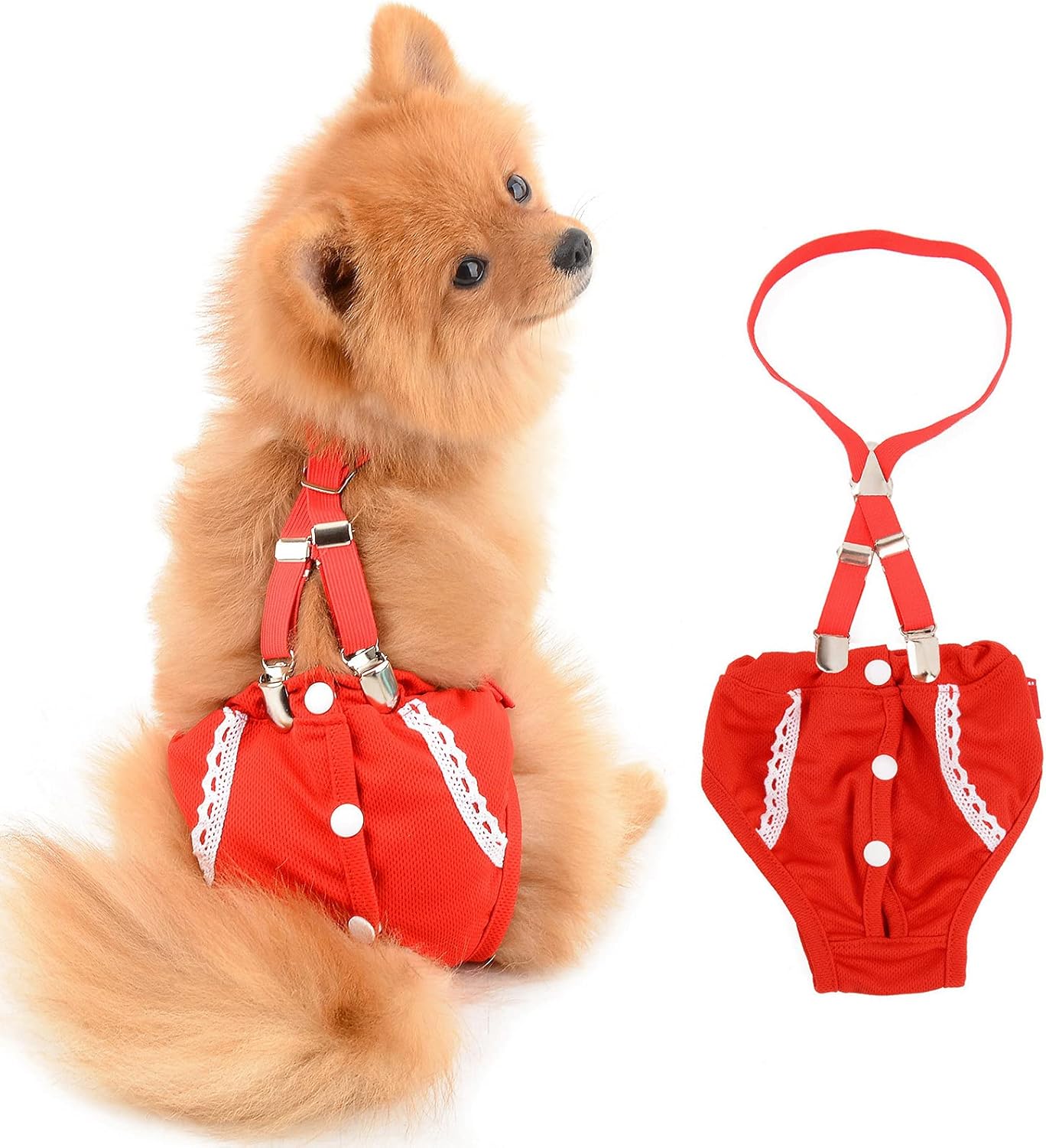 SMALLLEE_LUCKY_STORE Red Lace Girl Dog Diapers for Female with with Suspender Washable Reusable Cloth Sanitary Pants for Heat Cycle Incontinence Puppy Training