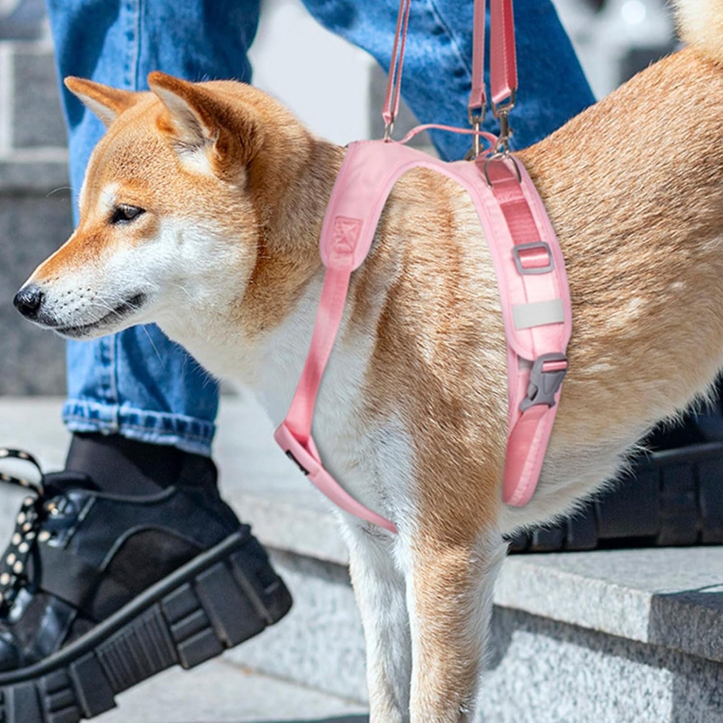 Rehabilitation Dog Carrying Slings for Dog Front Rear Leg Strap Lift Harness for Dog Surgical Joint Leg Recovery