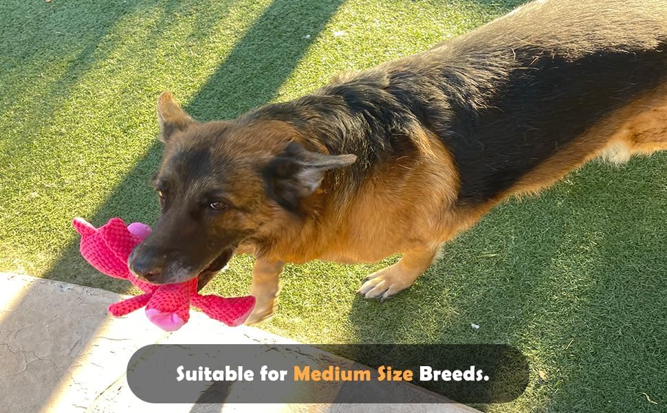 Jalousie Multipack Dog Squeaky Toys Strong Almost Indestructible, with Added Liner for Longer Play Dog Chew Toys (Medium to Large Breeds, 5 Pack Checks for Aggressive Chewers)