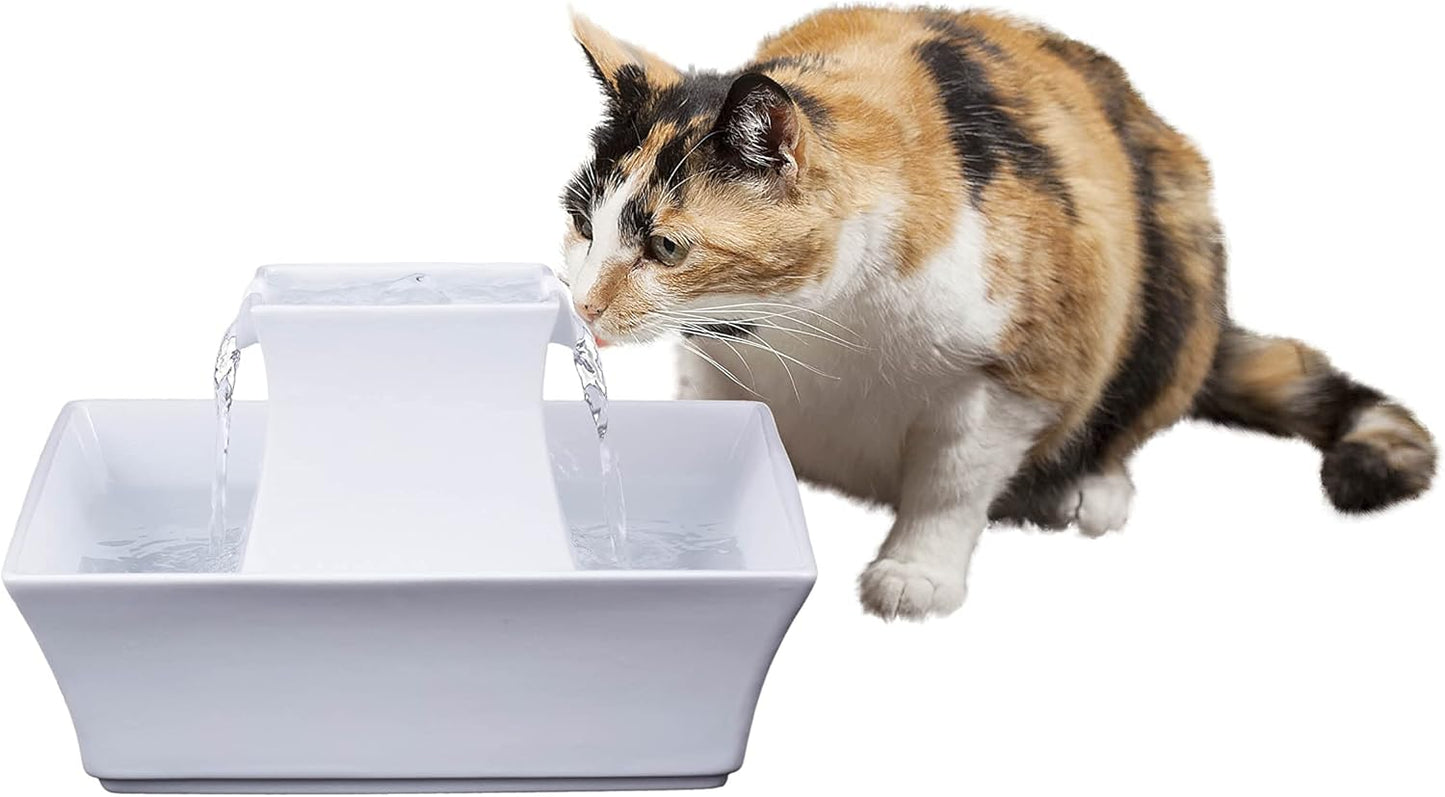 PetSafe Drinkwell Pagoda Pet Fountain and Cleaning Kit Bundle