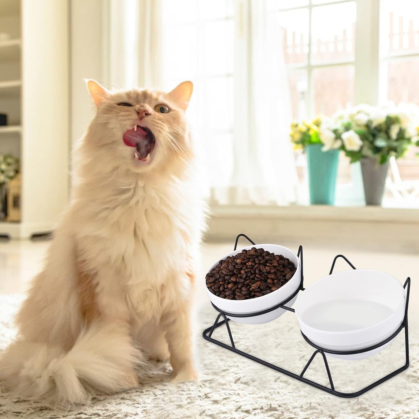 Cat Bowls, Double Ceramic Pet Bowls with 15°Tilted Raised Stand for Food and Water, Anti Vomiting Dish Feeder, Perfect Puppy Cats Small Dogs(Black Stand), LLNVBP1966
