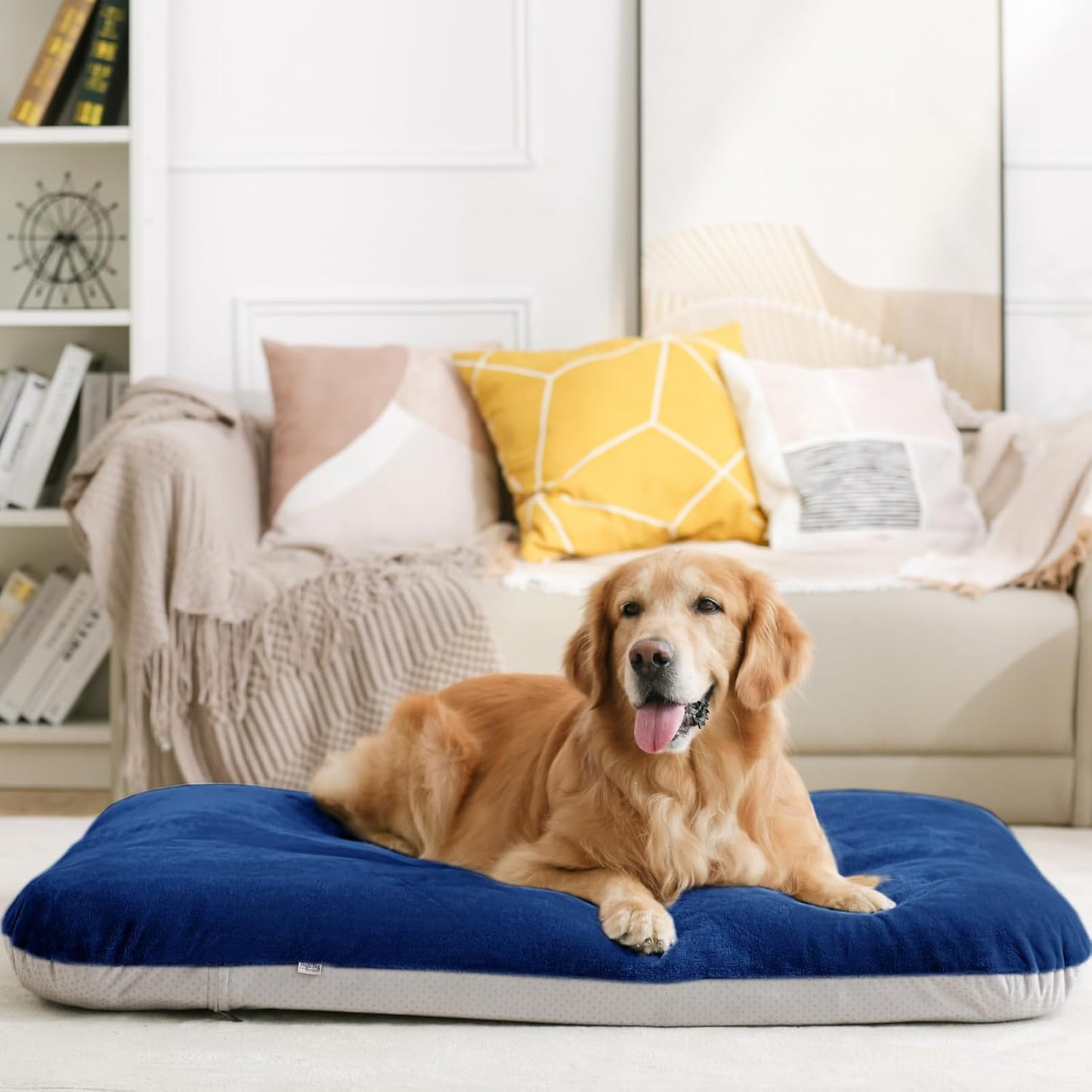Magic Dog 매우 부드러운 중형견 침대, 81.3cm(32인치) 정형외과적 폼 반려동물 침대, 미끄럼 방지 바닥, 탈착식 및 세탁 가능한 커버가 있는 강아지 수면 매트리스, 블루 M, 81.3 x 61 x 7.6cm(32 x