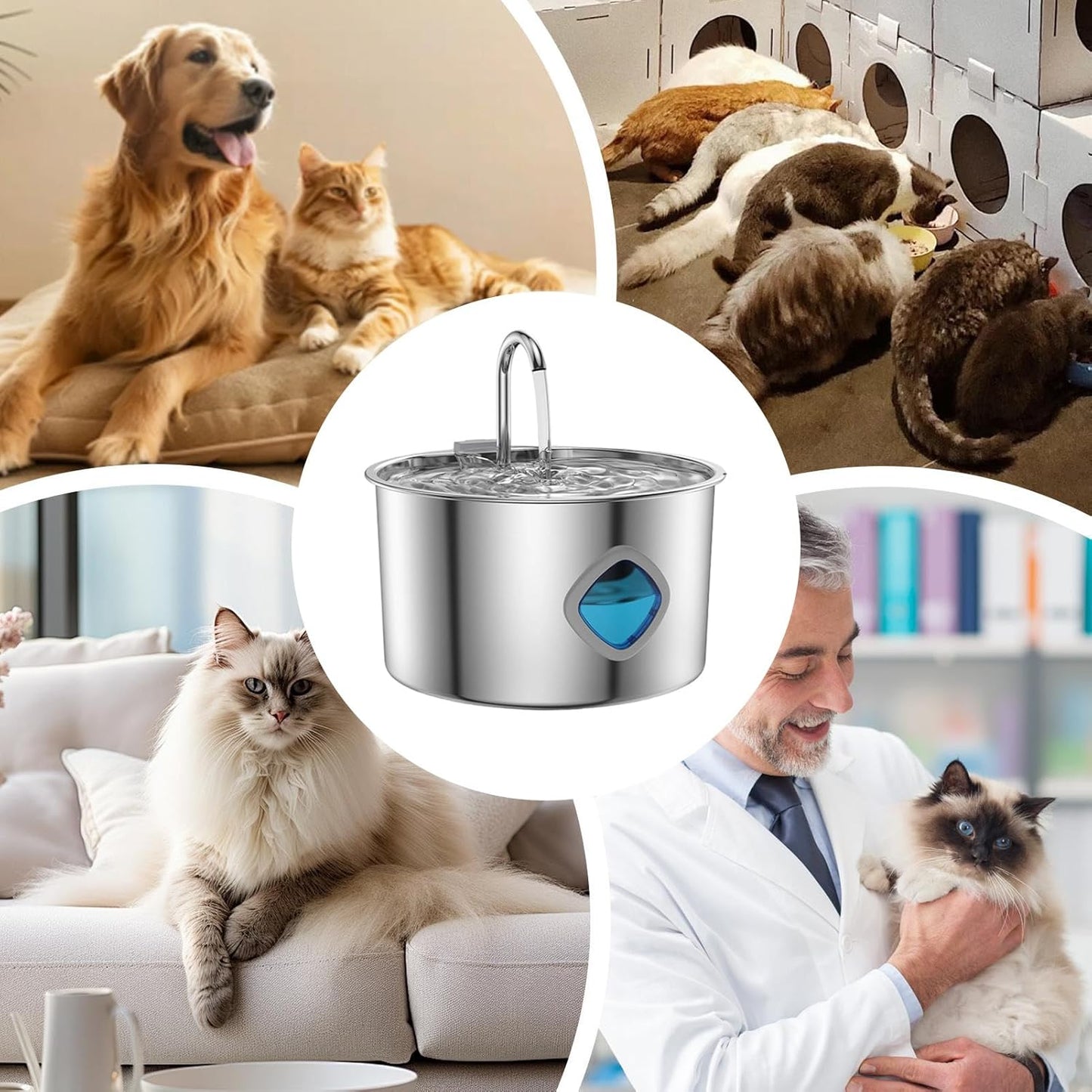 Water Fountains for Cats Indoor | 3.2L Water Bowl Fountain for Cats Inside | Automatic Waterer Pet Feeding Bowl for Small Medium Large Breed Dog Puppy Kitten Drinking Watering Indoor
