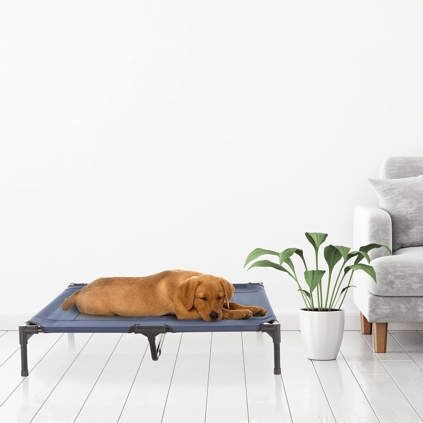 PETMAKER 높은 강아지 침대 - 91.4 x 74.9cm(36 x 29.75인치) 휴대용 반려동물 침대 미끄럼 방지 발 - 실내/실외 강아지 침대 또는 강아지 침대, 최대 36.3kg(80파운드) 반려동물용 (블루)