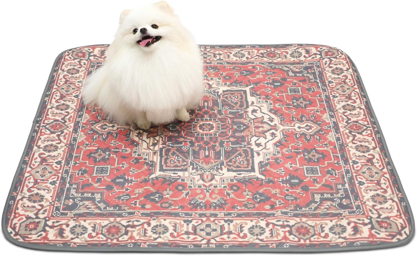 Paw Inspired Designer Print Dog Pads (2 Pack) | Premium Washable Pee Pads | Reusable Puppy Pads for Potty Training, Whelping, Waterproof Mat | Leakproof, Non-Slip Liner (Persian Style, 36" x 36" Size)