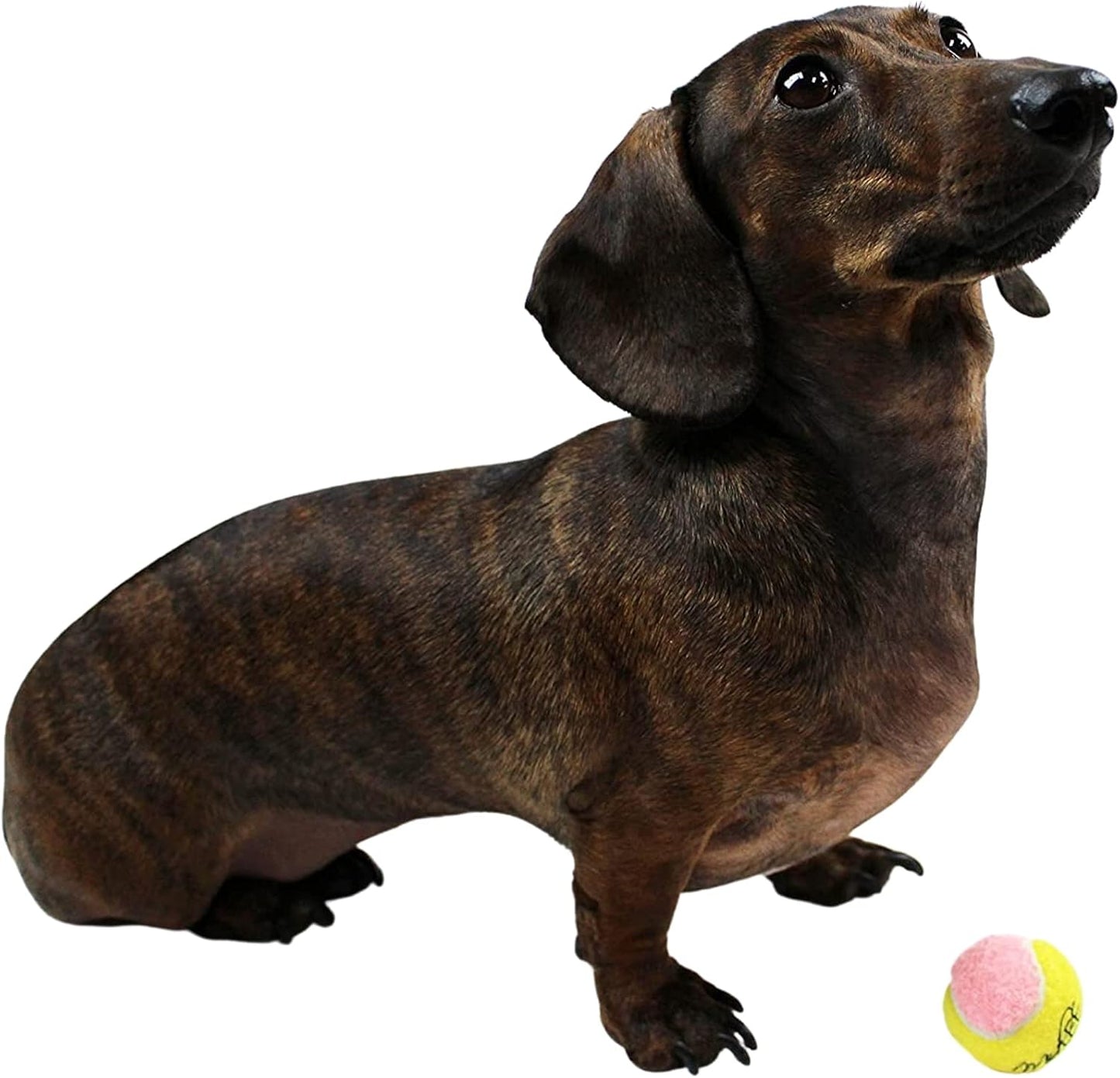Midlee X-Small Dog Tennis Balls 1.5" Pack of 12- Puppy Mini Fetch Pet Little Tennis Balls -Yellow/Pink