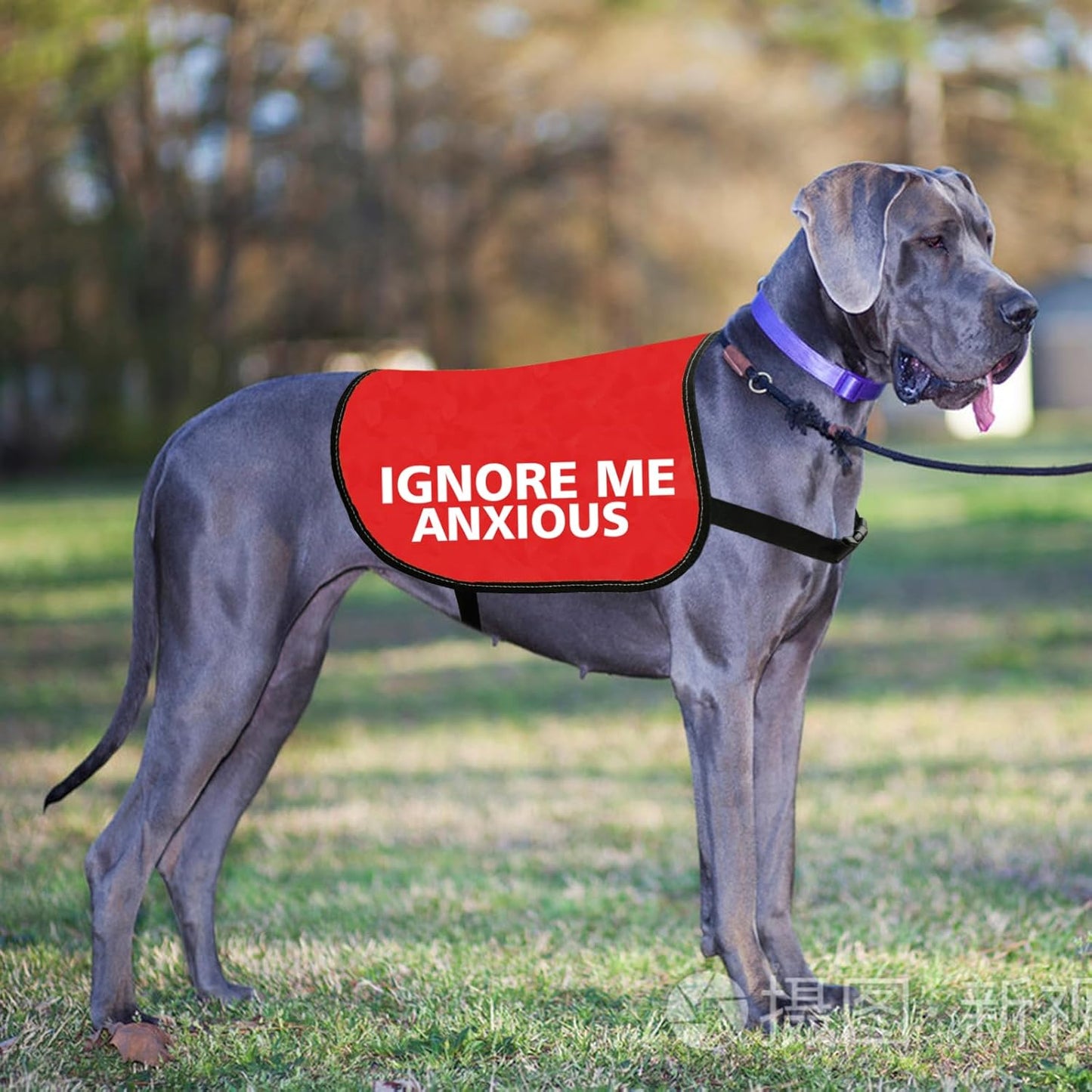 JXGZSO Rescue Dogs Anxious Dogs Gift Ignore Me Anxious Dog Reactive Dog Jacket Vest Alert Slogan Warning Vest (Ignore Me Anxious L)