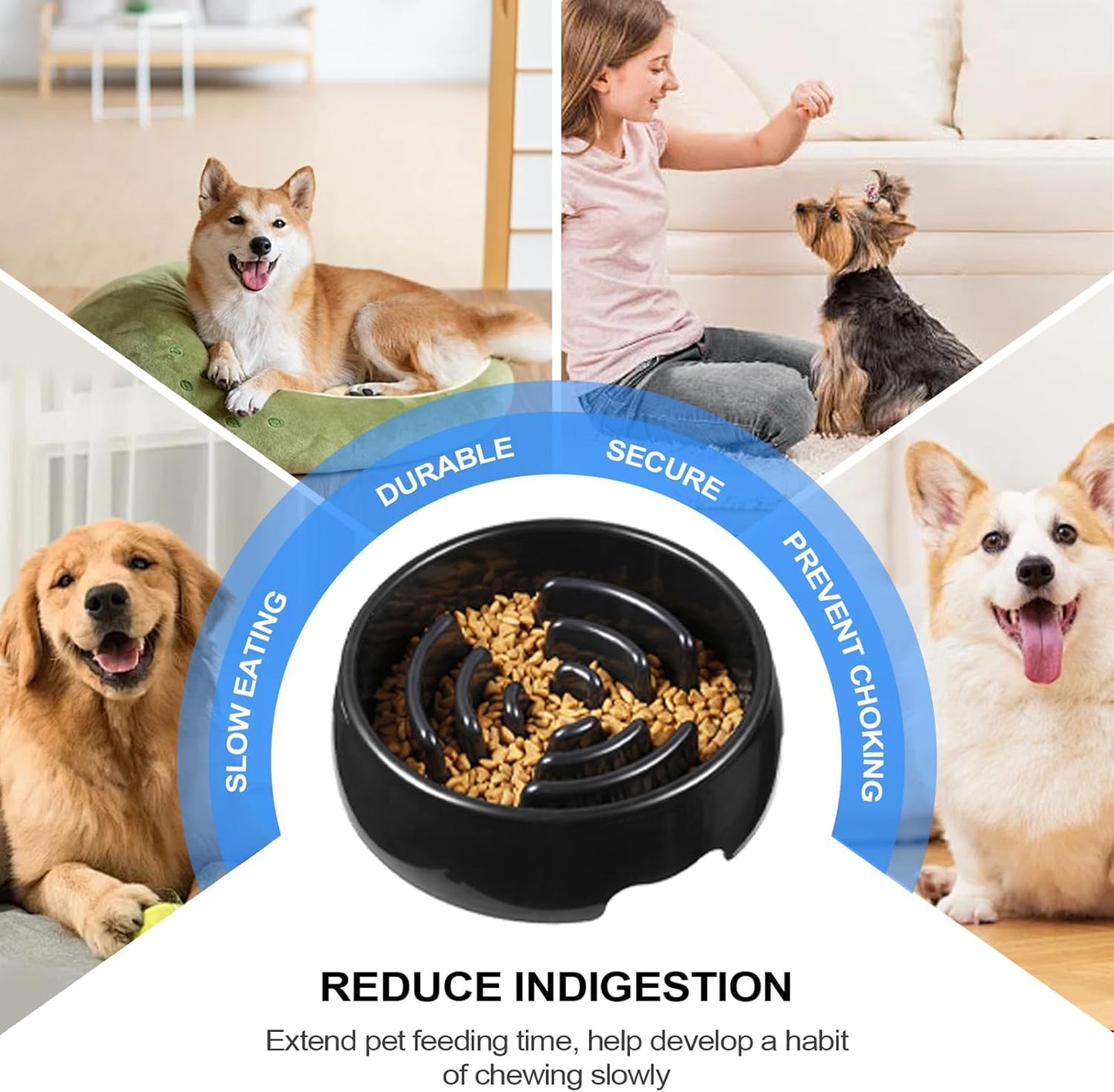 Genérico Slow Eating Dish for Dogs | Non-Slip and Anti-Choking Tray with Maze | Slow Food for Puppies and Cats Mental Stimulation