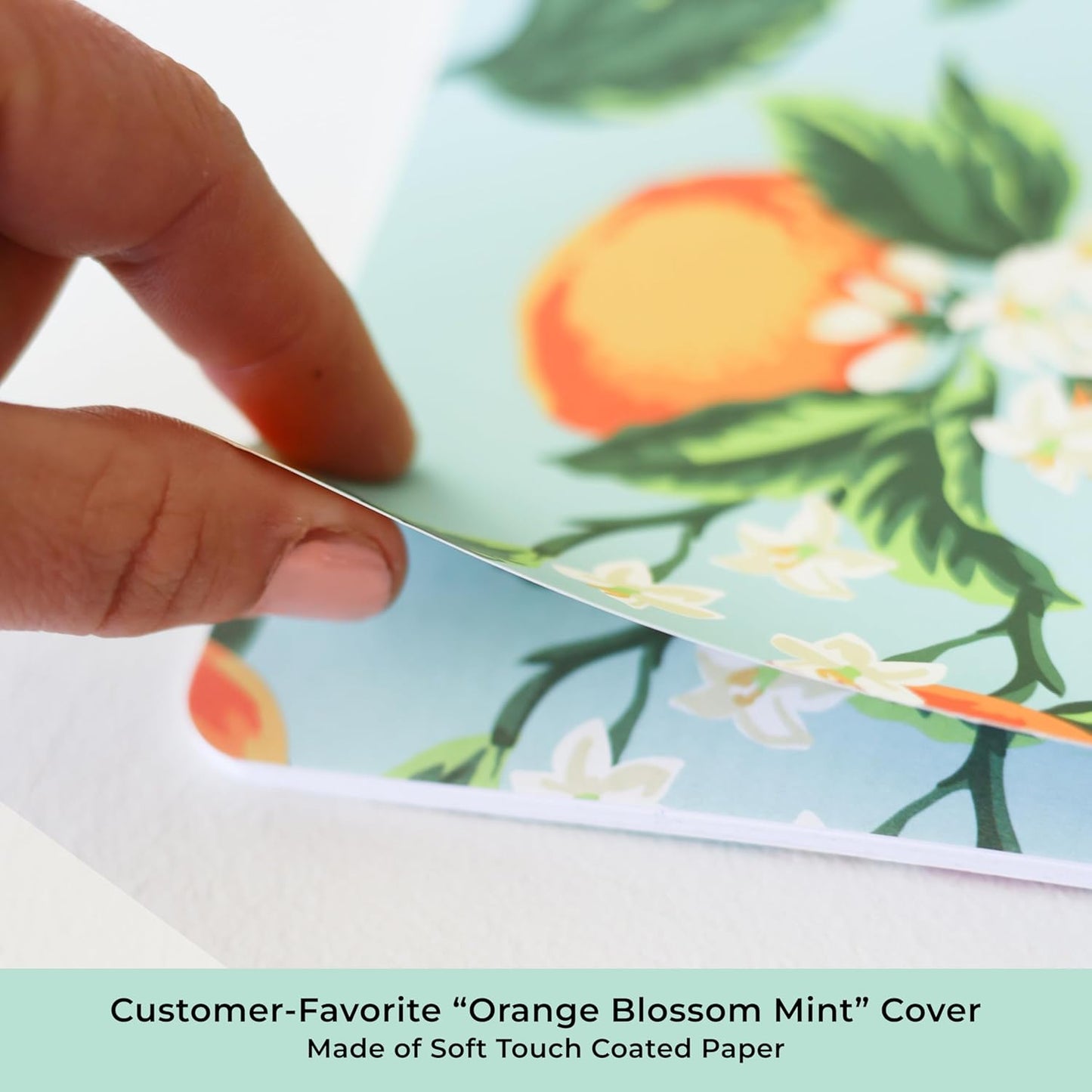 Blue Sky Day Designer 24 Month 2026 Monthly Planner Calendar, January 2026 - December 2027, 8.5" x 11", Flexible Cover, Stapled Binding, Orange Blossom Mint