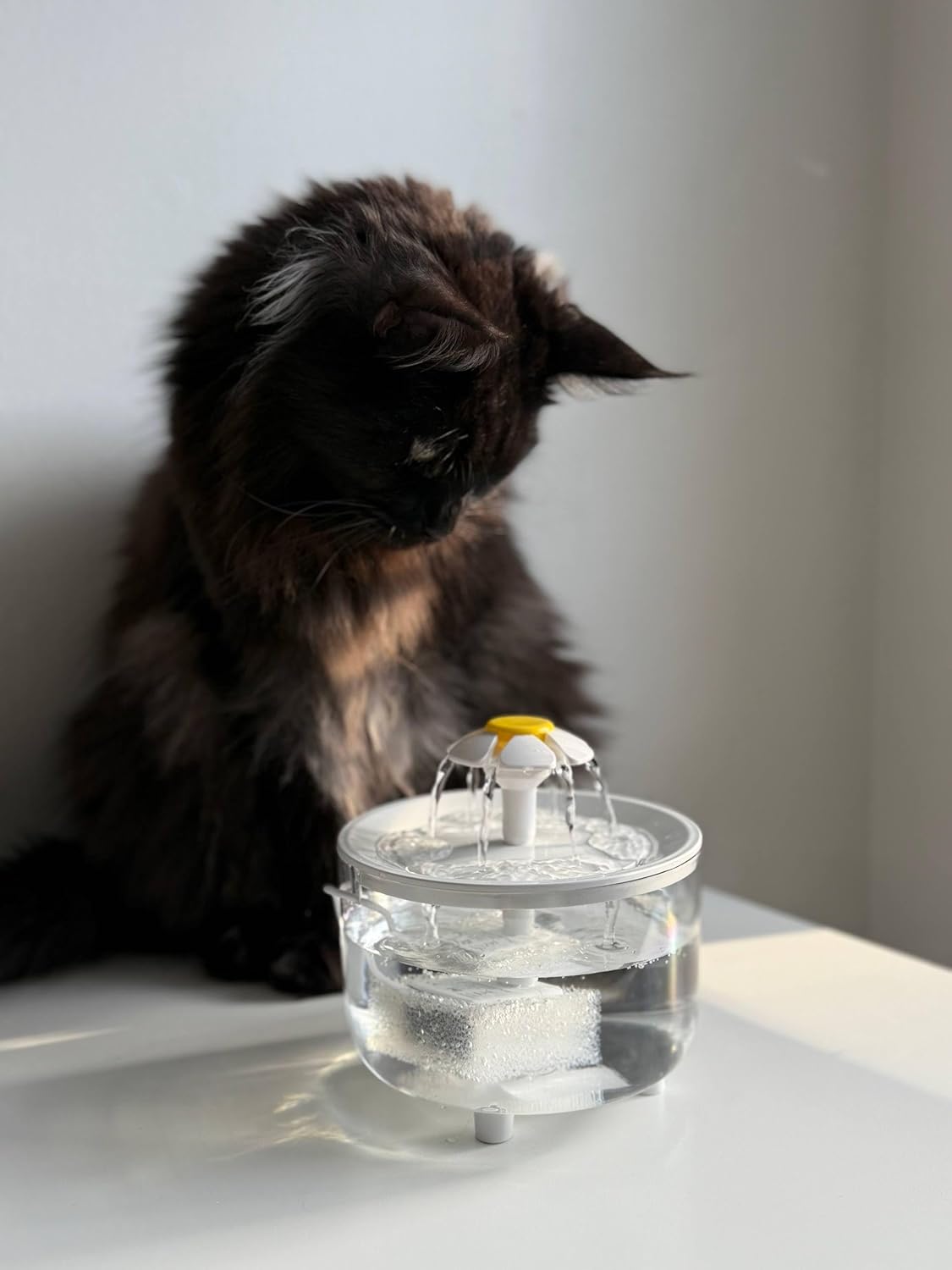 Ultra-Quiet Pet Water Dispenser – 50.72 oz Transparent Drinking Bowl – Easy to Clean, Portable & Compact Water Fountain for Cats and Dogs