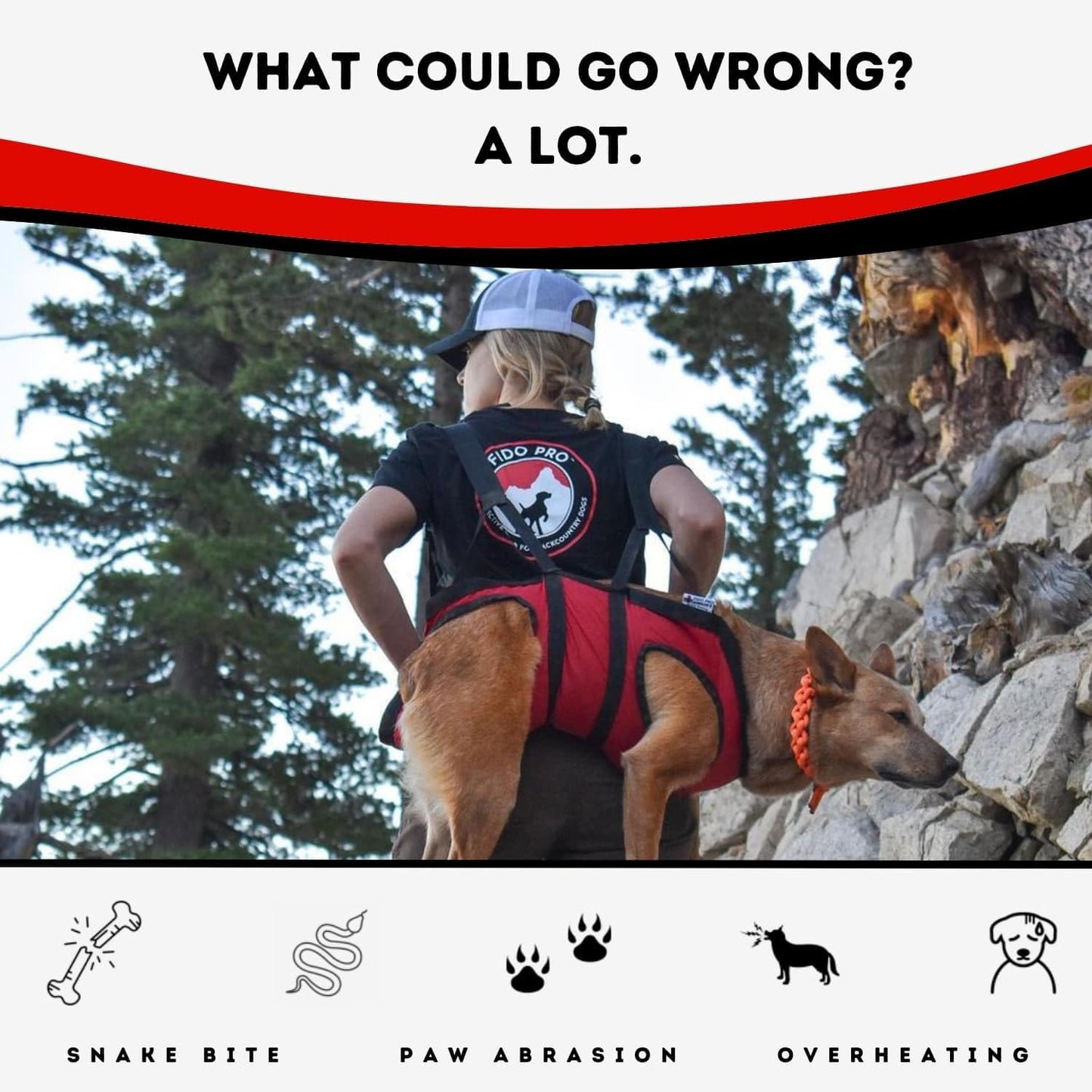 Fido Pro Airlift Emergency Dog Rescue Sling - Red XL 2 Person Assisted Carry