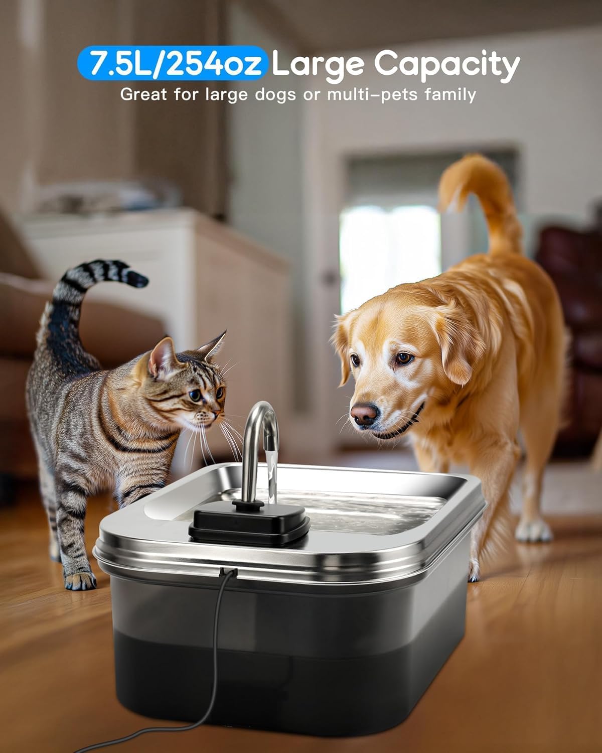 Stainless Steel Pet Fountain with Charcoal Filter, Includes Bone Treats, 16 x 10 x 10 in